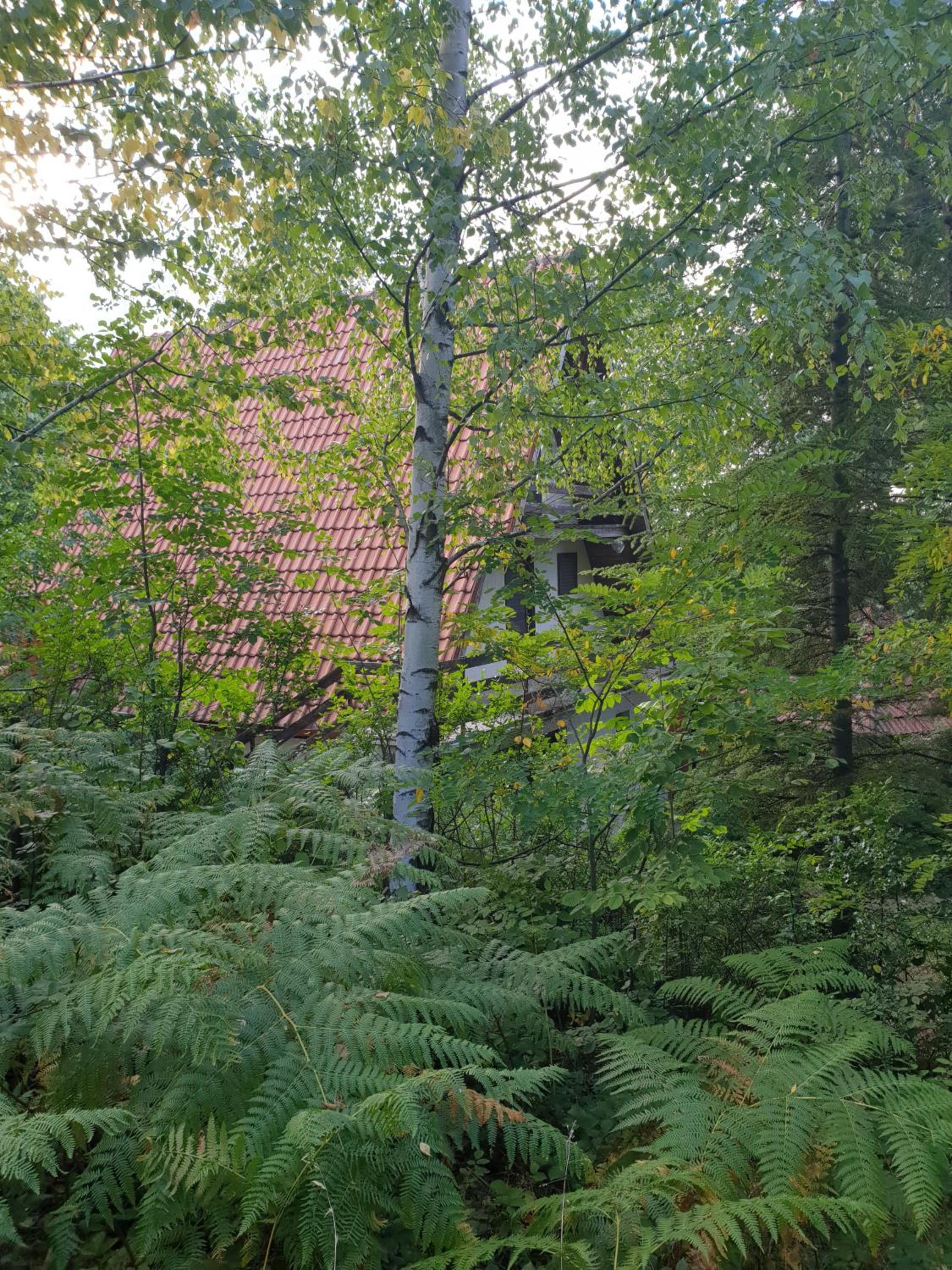 Photo 26