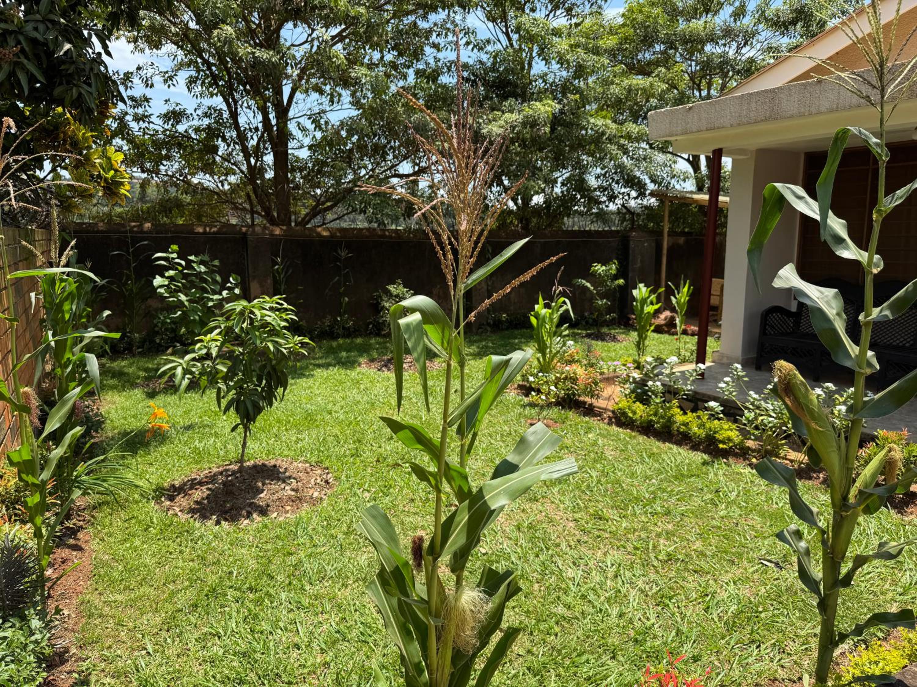 Photo 26