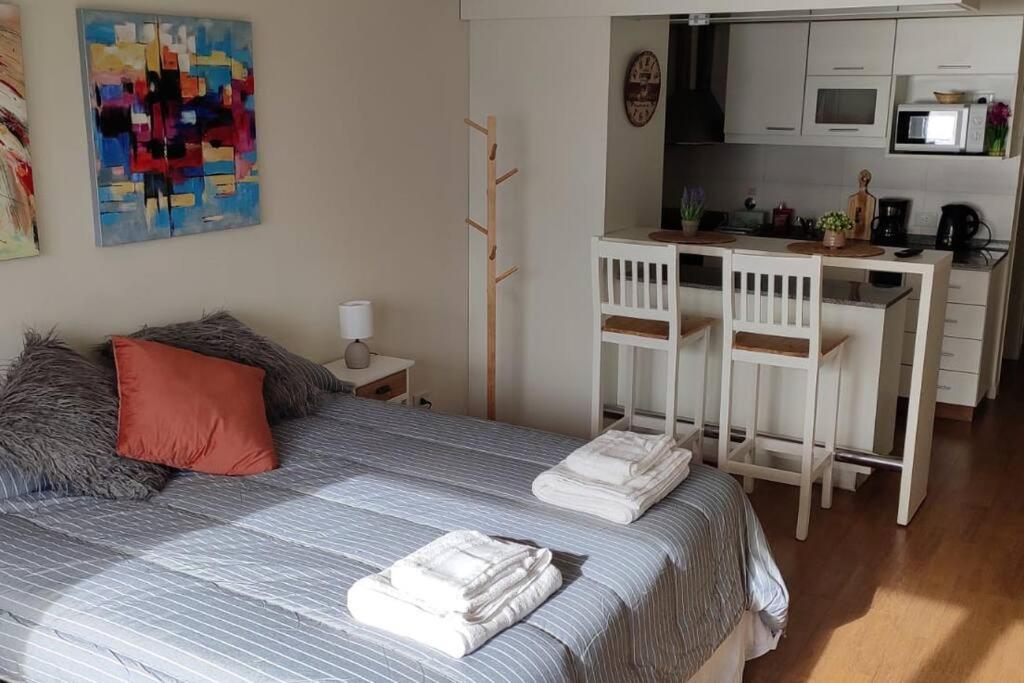 Dpto-2 Pax- Monoambiente-Centro