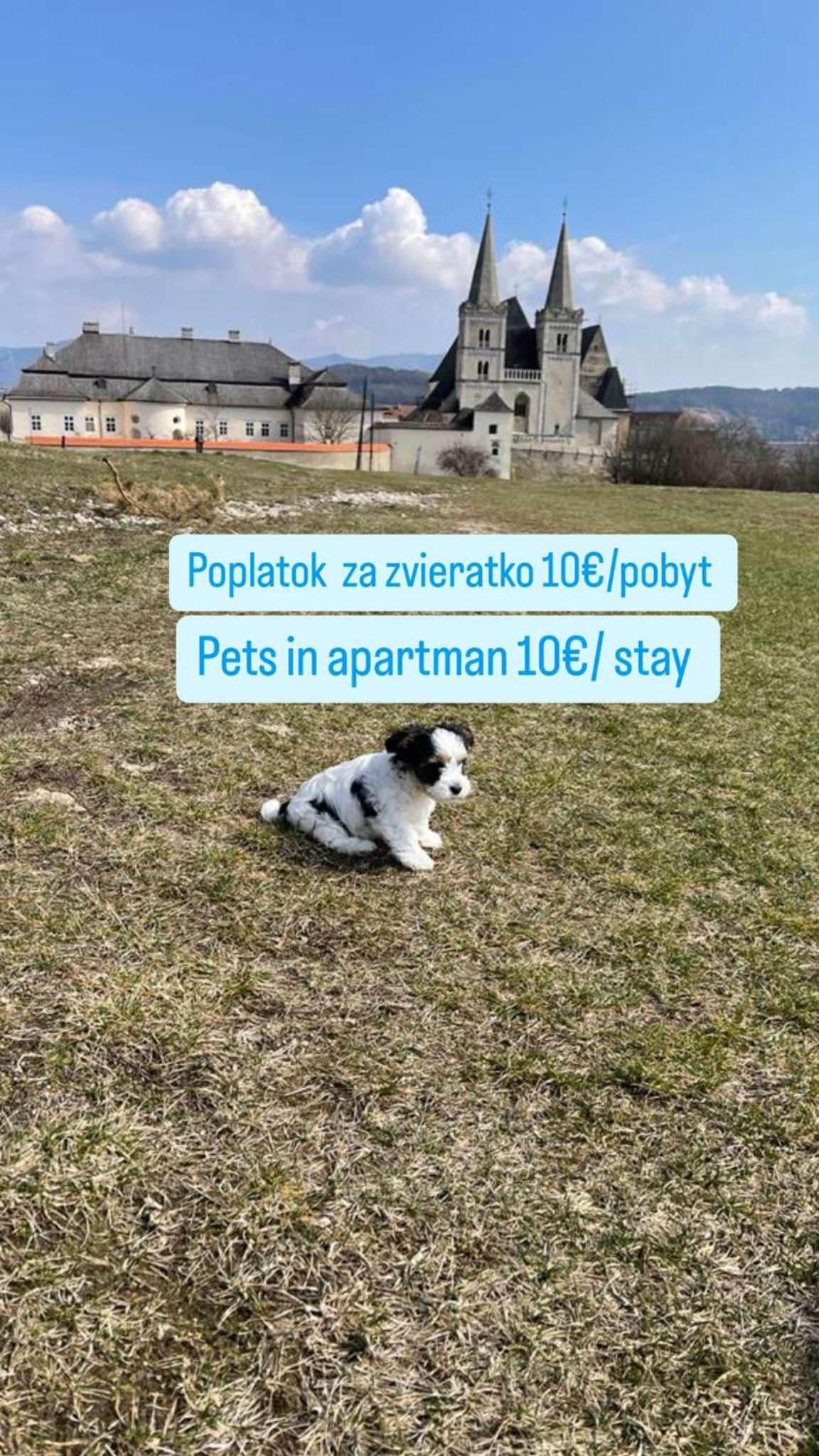 Apartmán Spišský Hrad