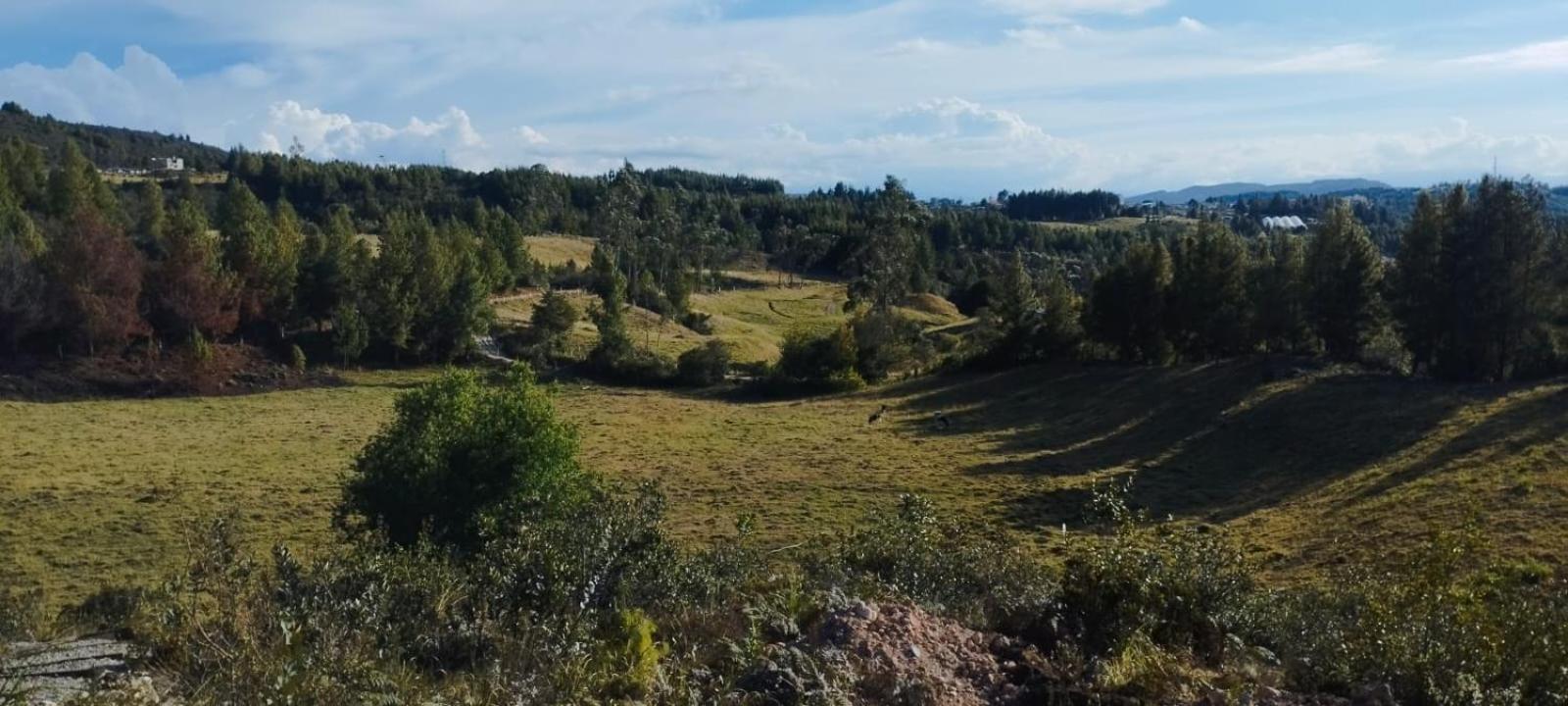 Glamping El Atardecer, vía a Loja