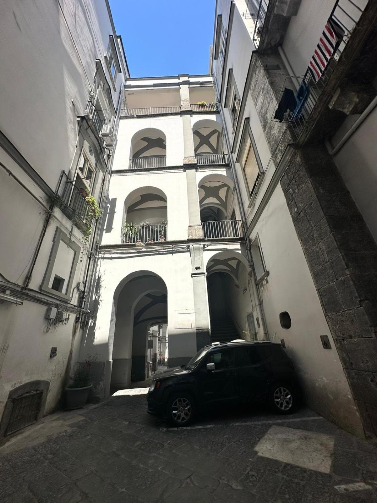HV Suites TRIBUNALIUM