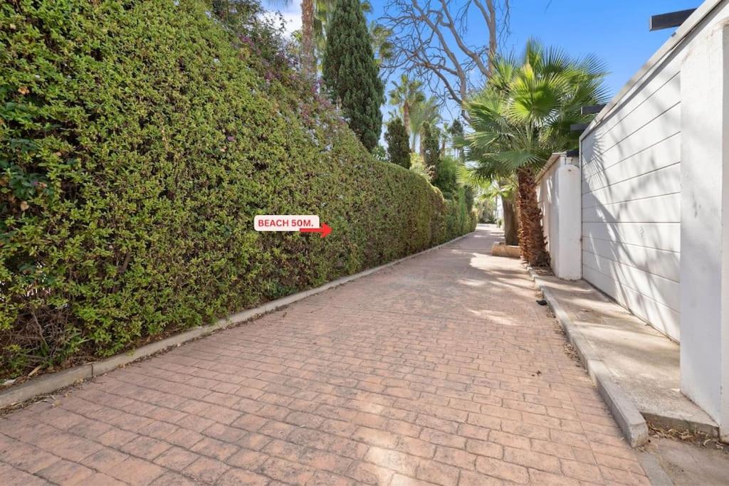 Fantastic family home 50 metres to beach RDR419 view 4