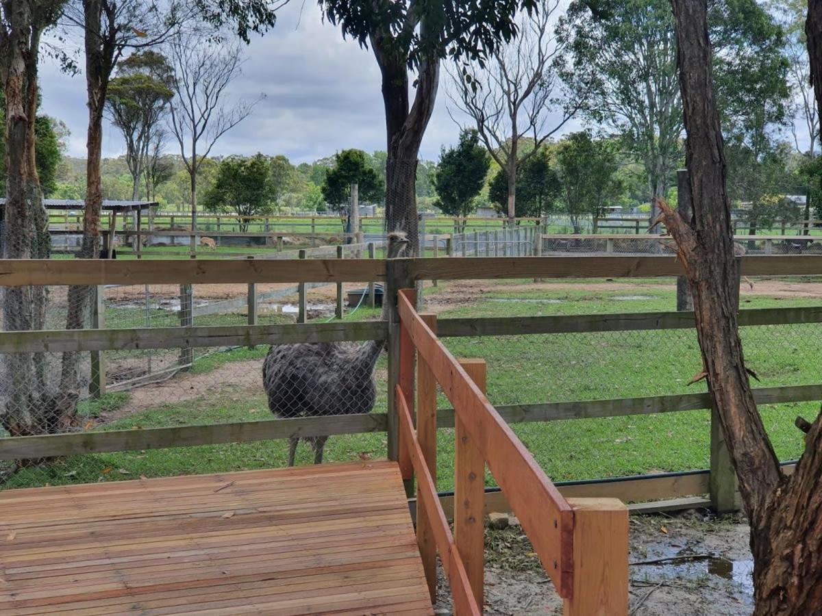 Aircabin - Wyong Creek - Comfy Rural Retreat House