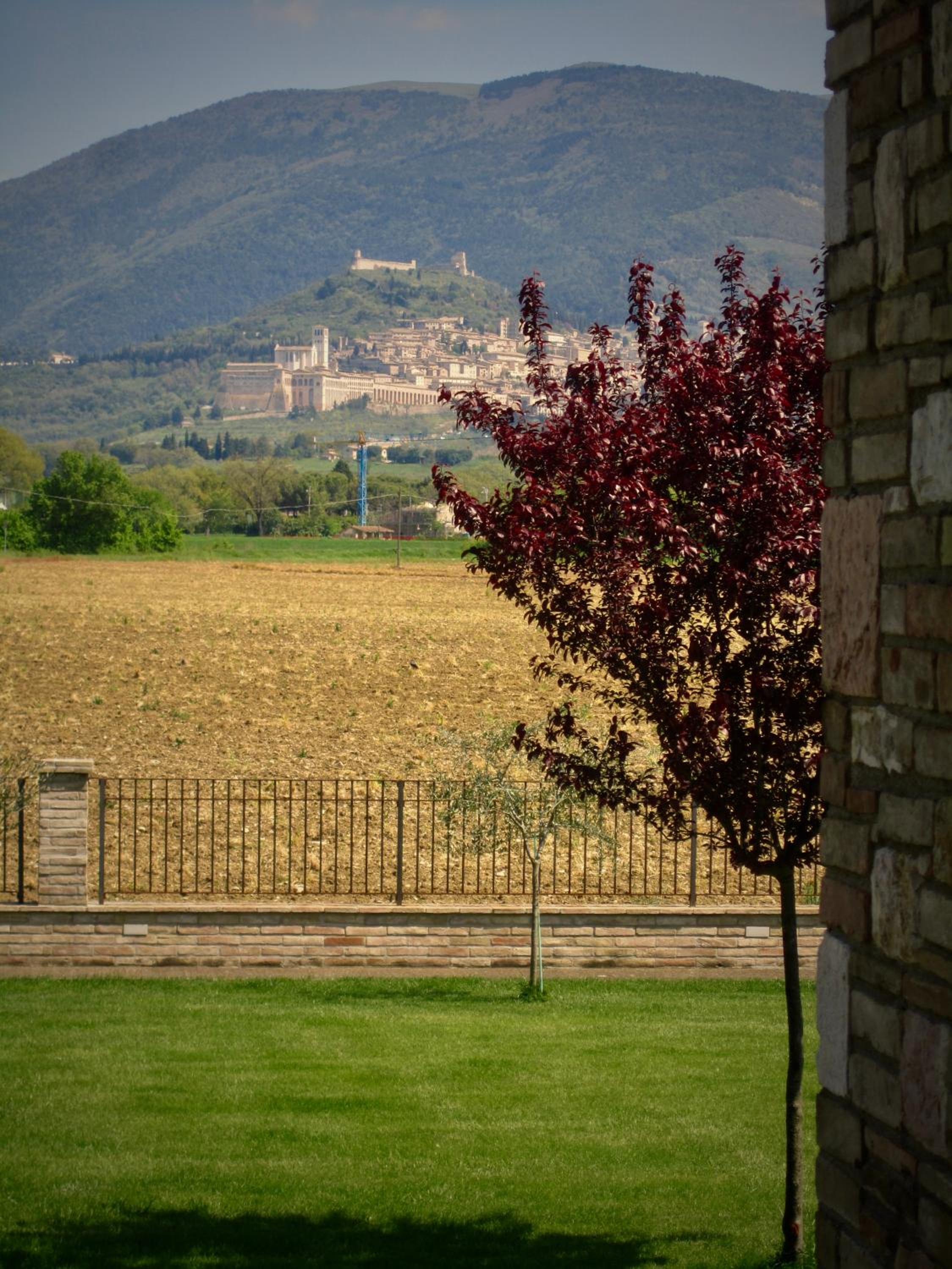 Photo 40