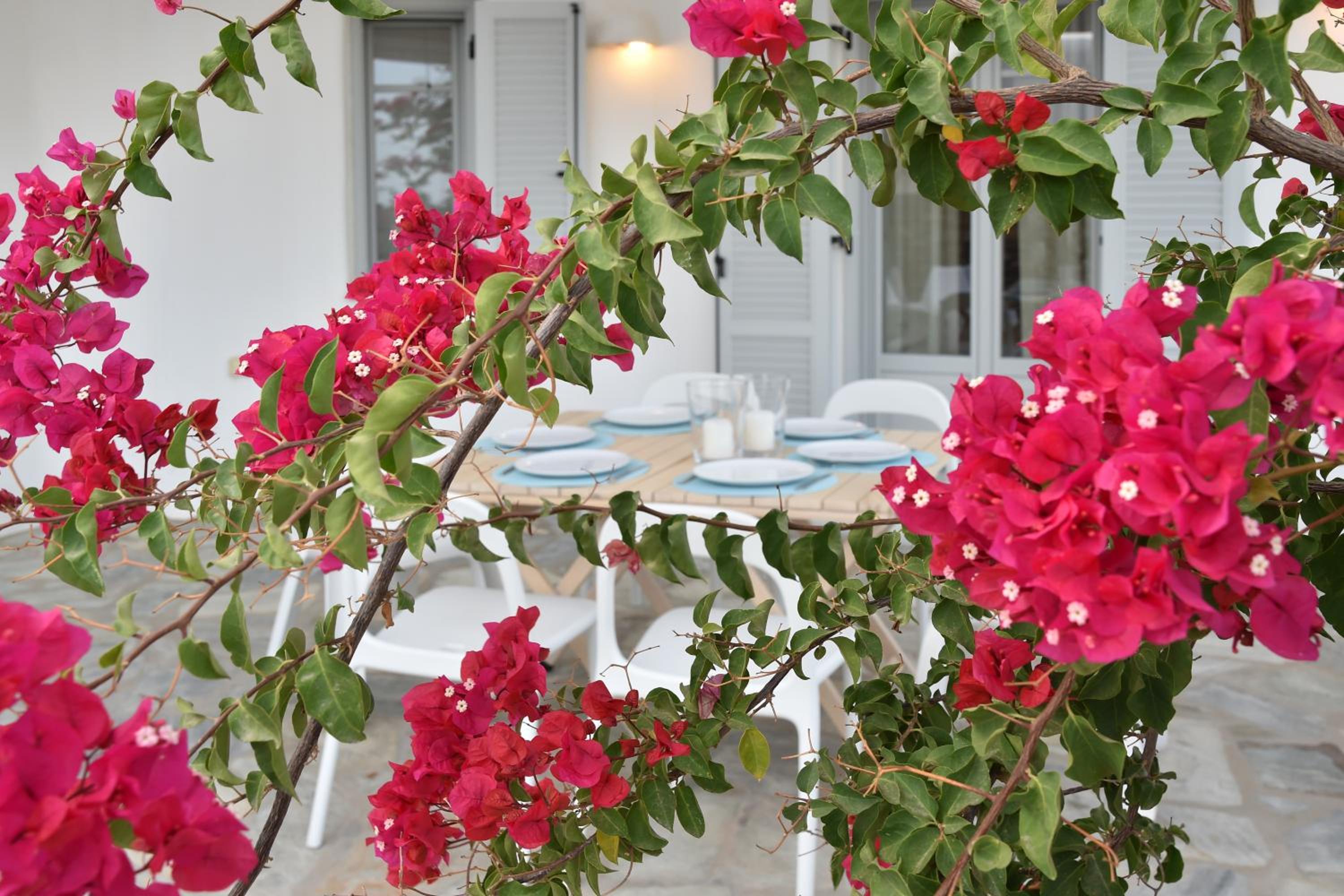Aspro Villas