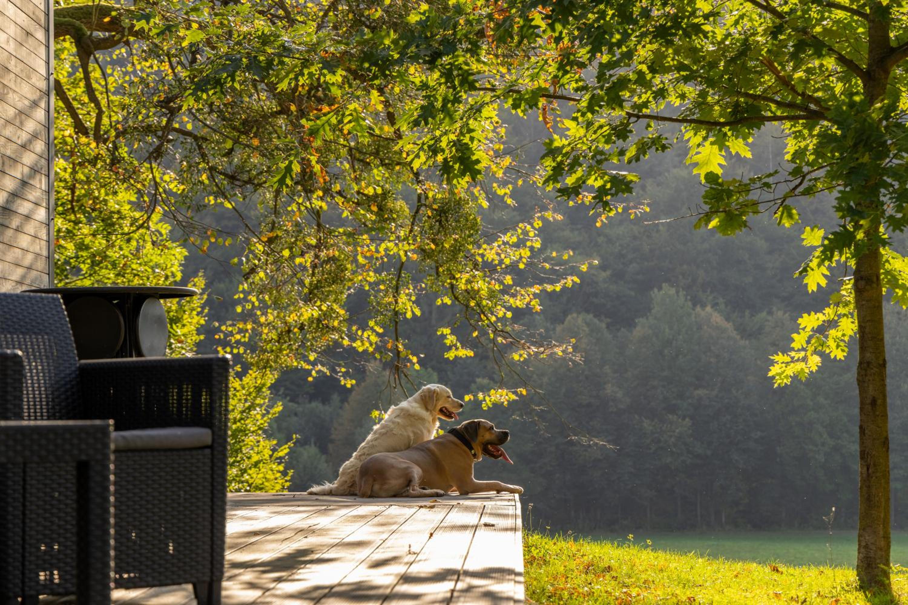 Glamping Pod Lipami view 3