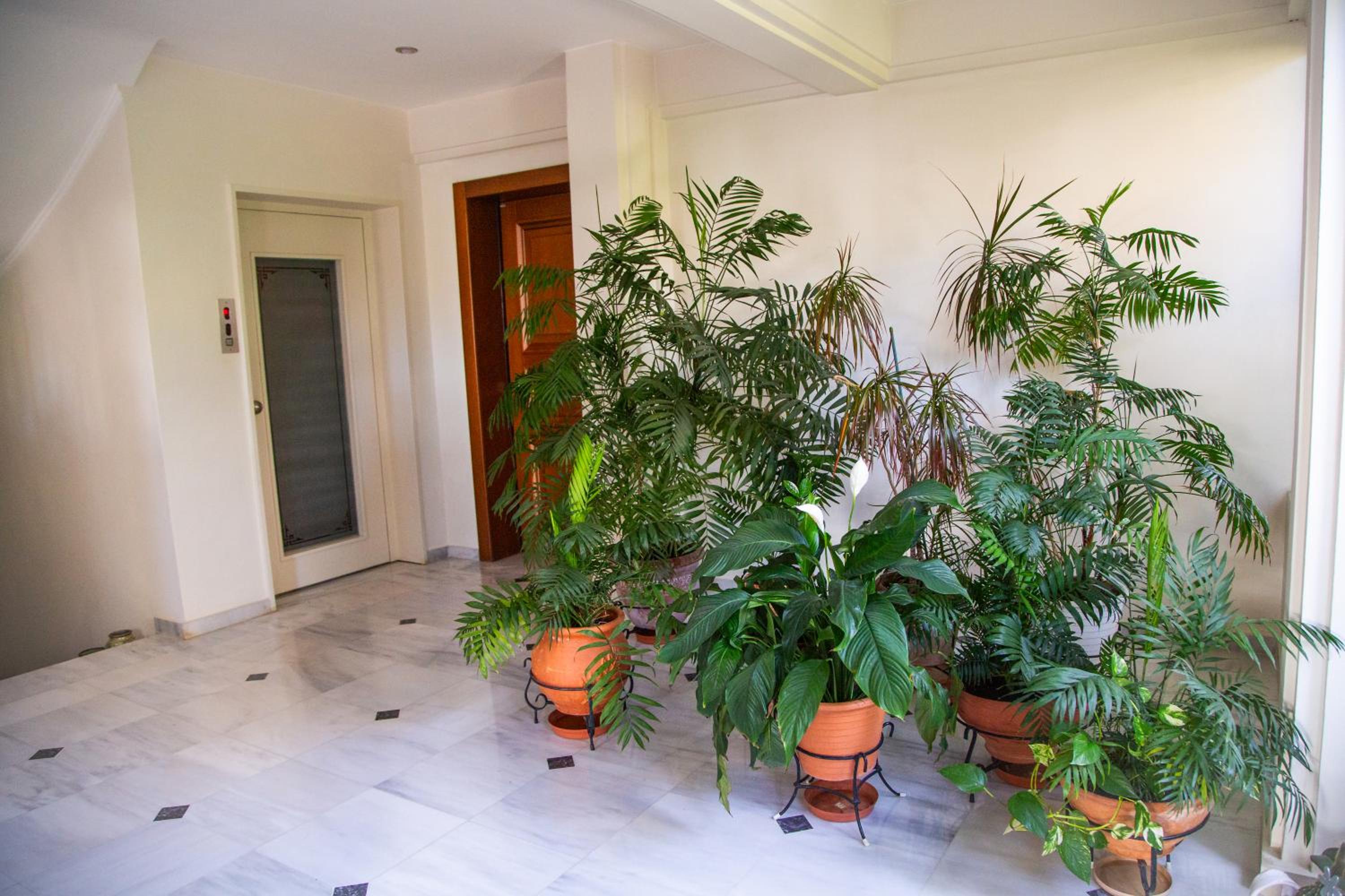 Luxury apt near the airport N2 view 3