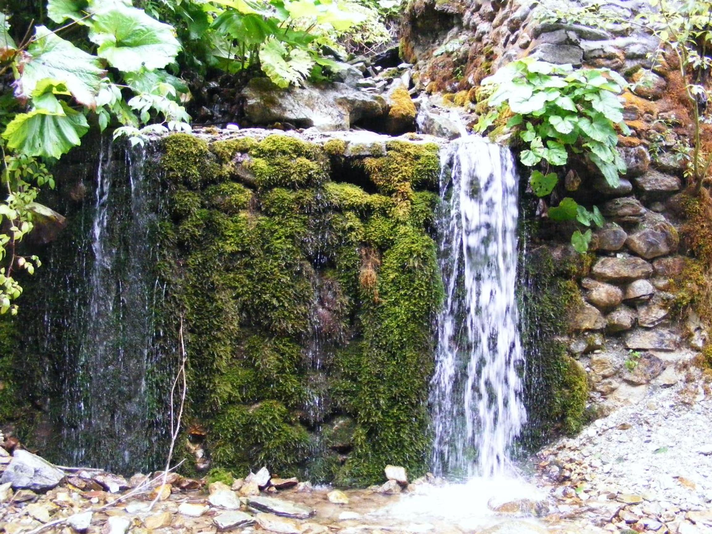 Photo 24