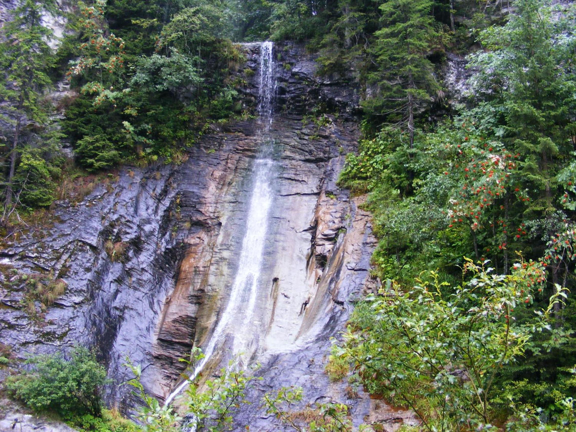 Photo 25