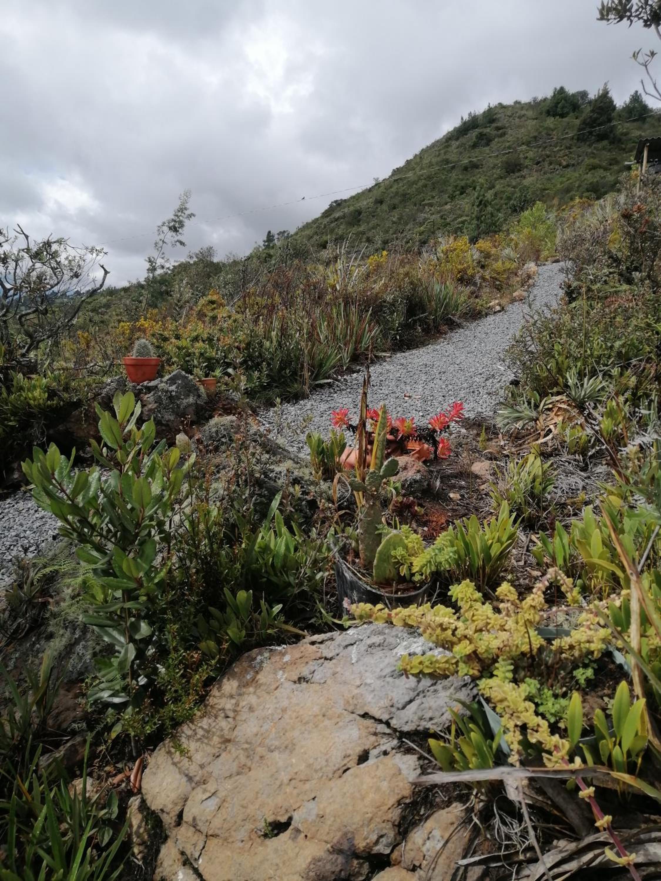 Mountain Glamping - Nature and Relax