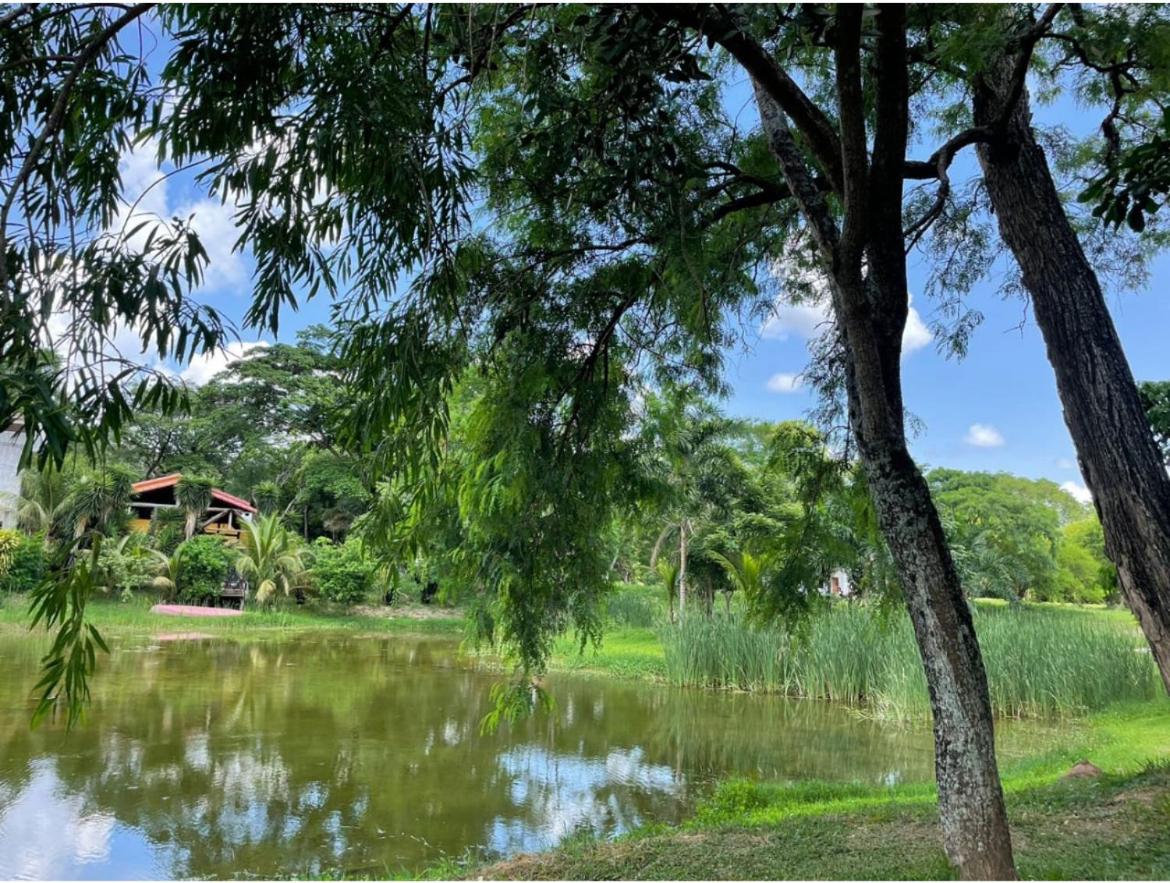 Lugar para acampar