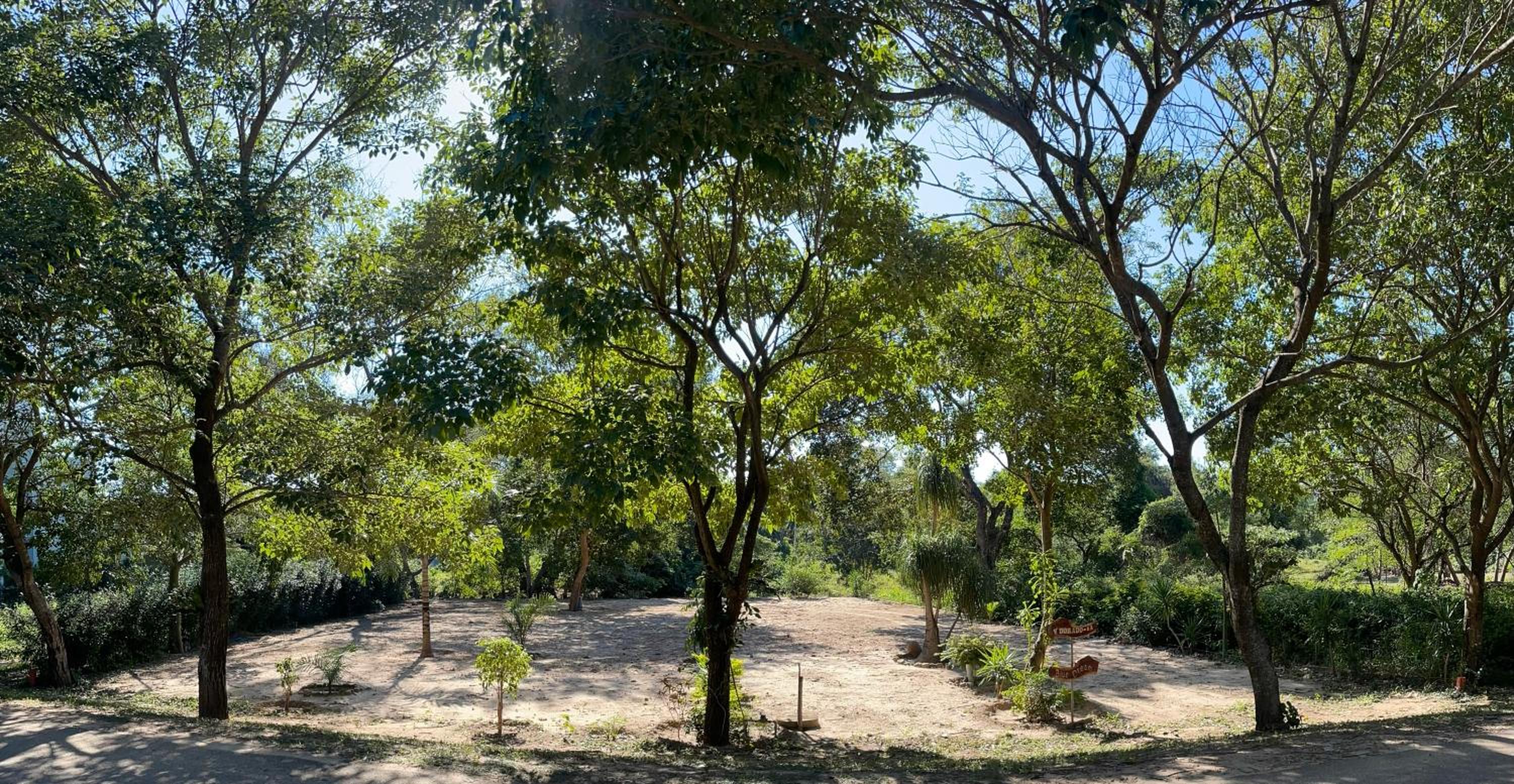 Lugar para acampar