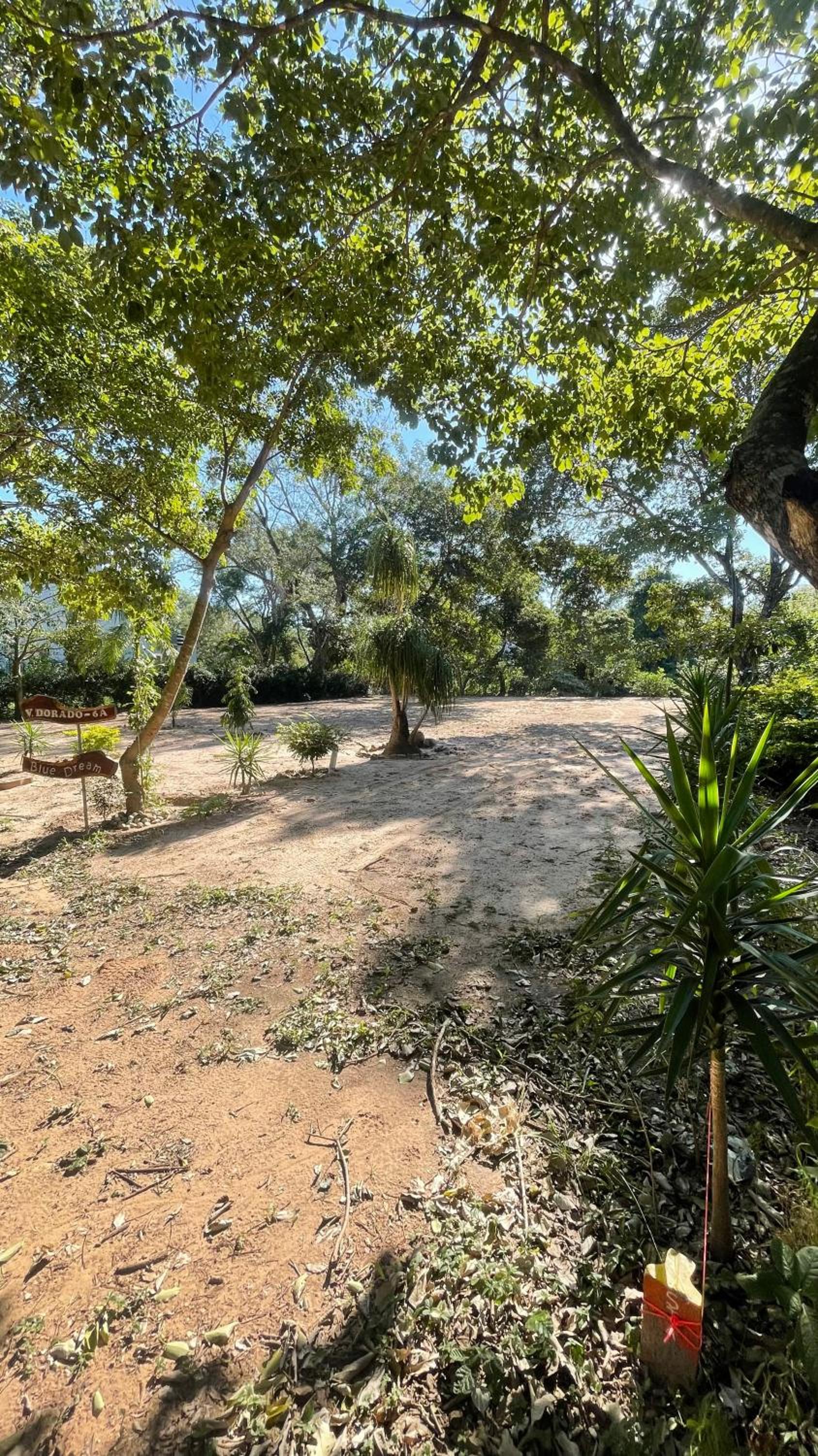 Lugar para acampar