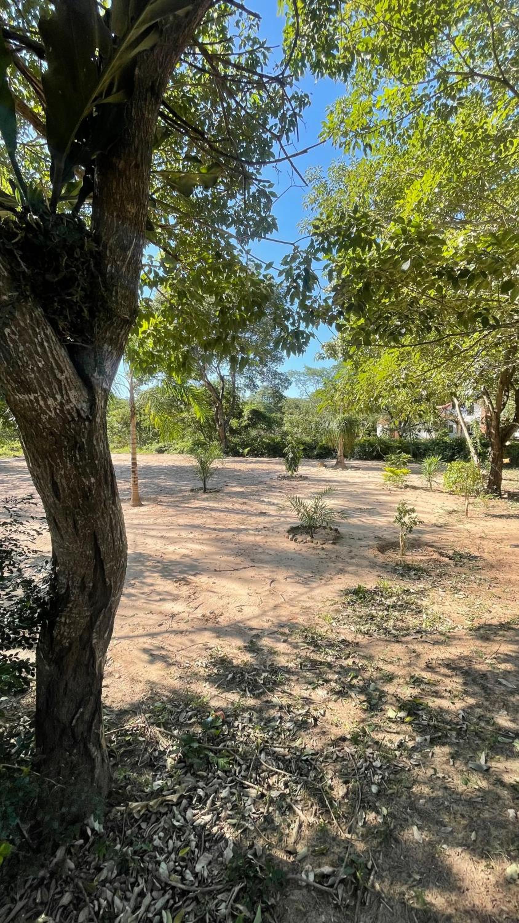Lugar para acampar