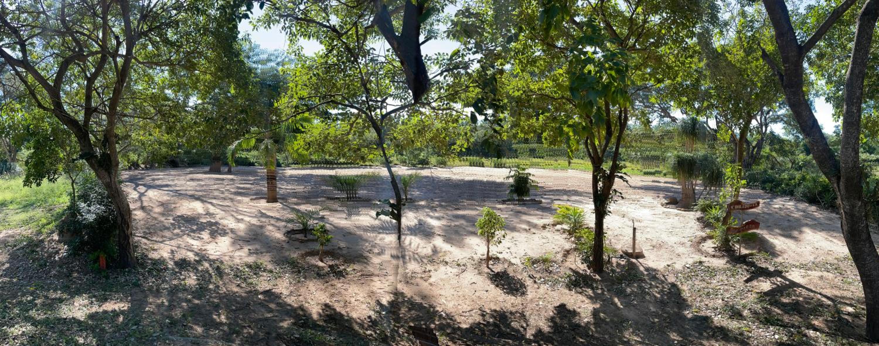 Lugar para acampar