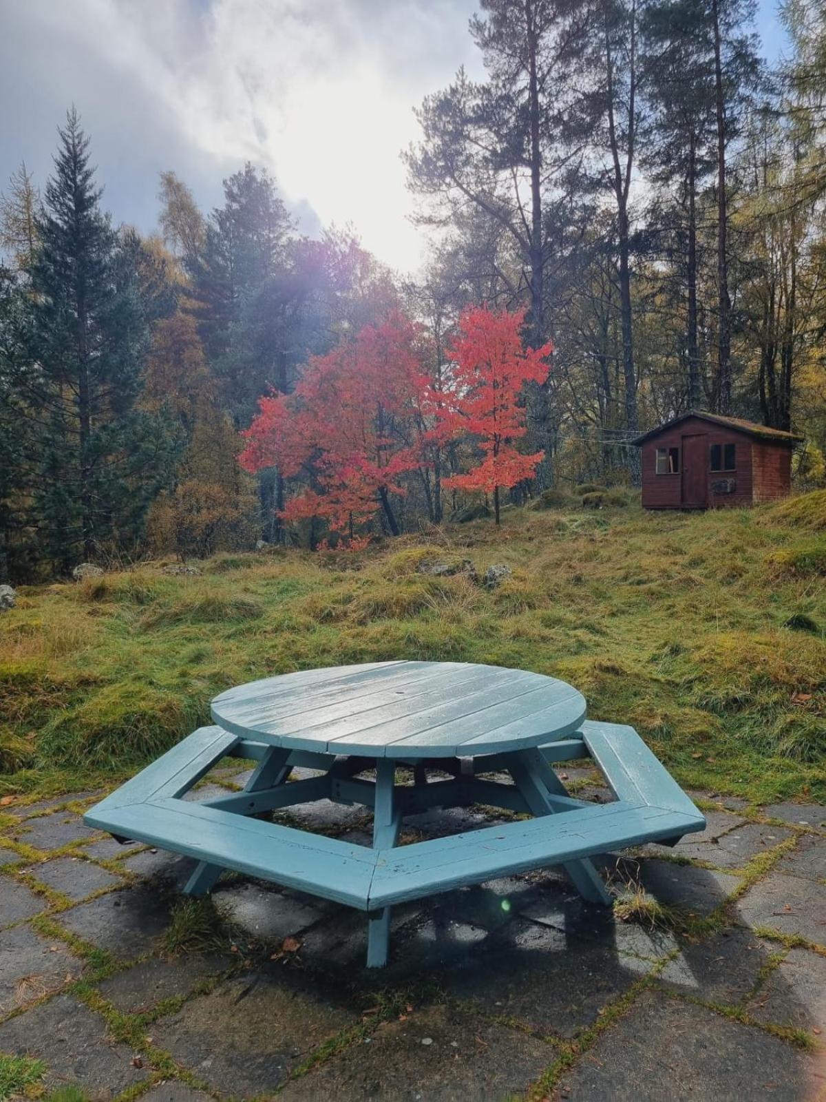 Our Log House in the woods view 4