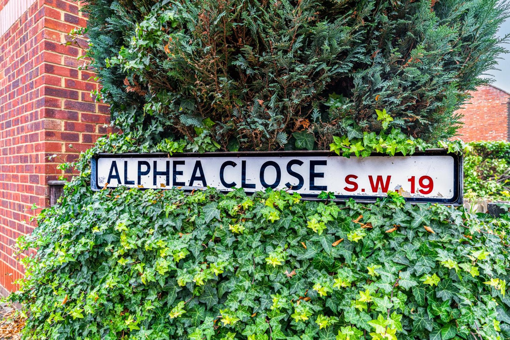 Wimbledon living