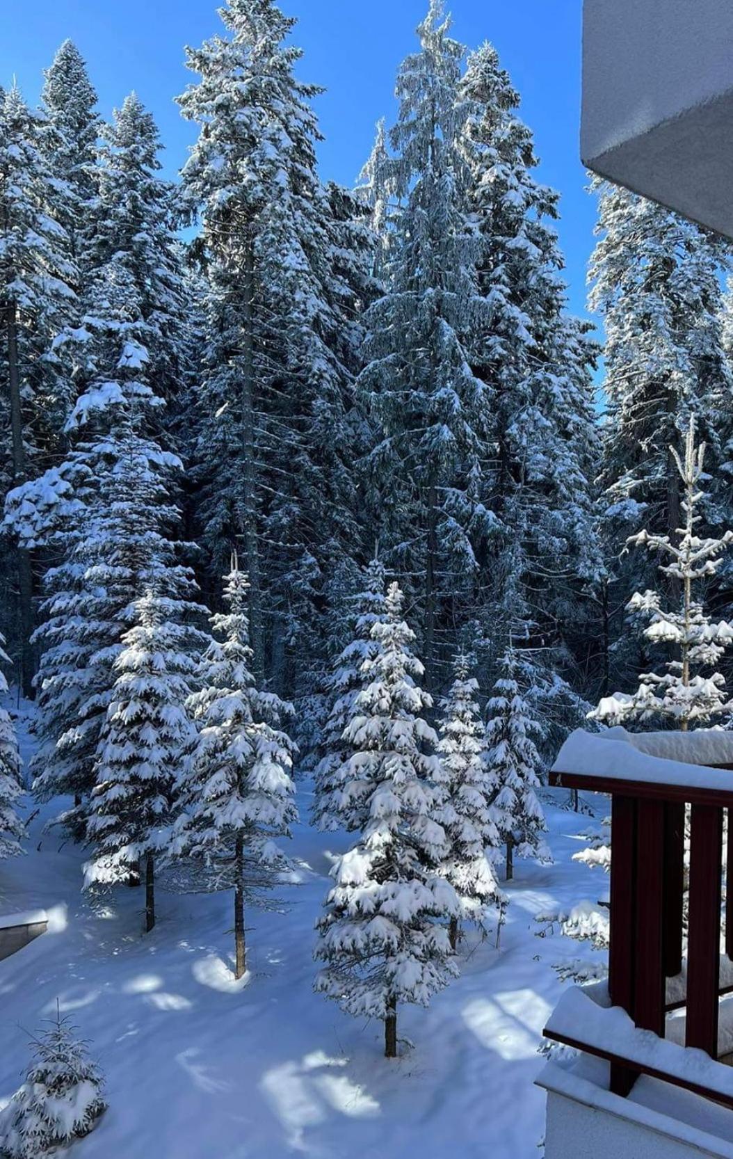 Arboro D21 Borovets Gardens 2 bedroom