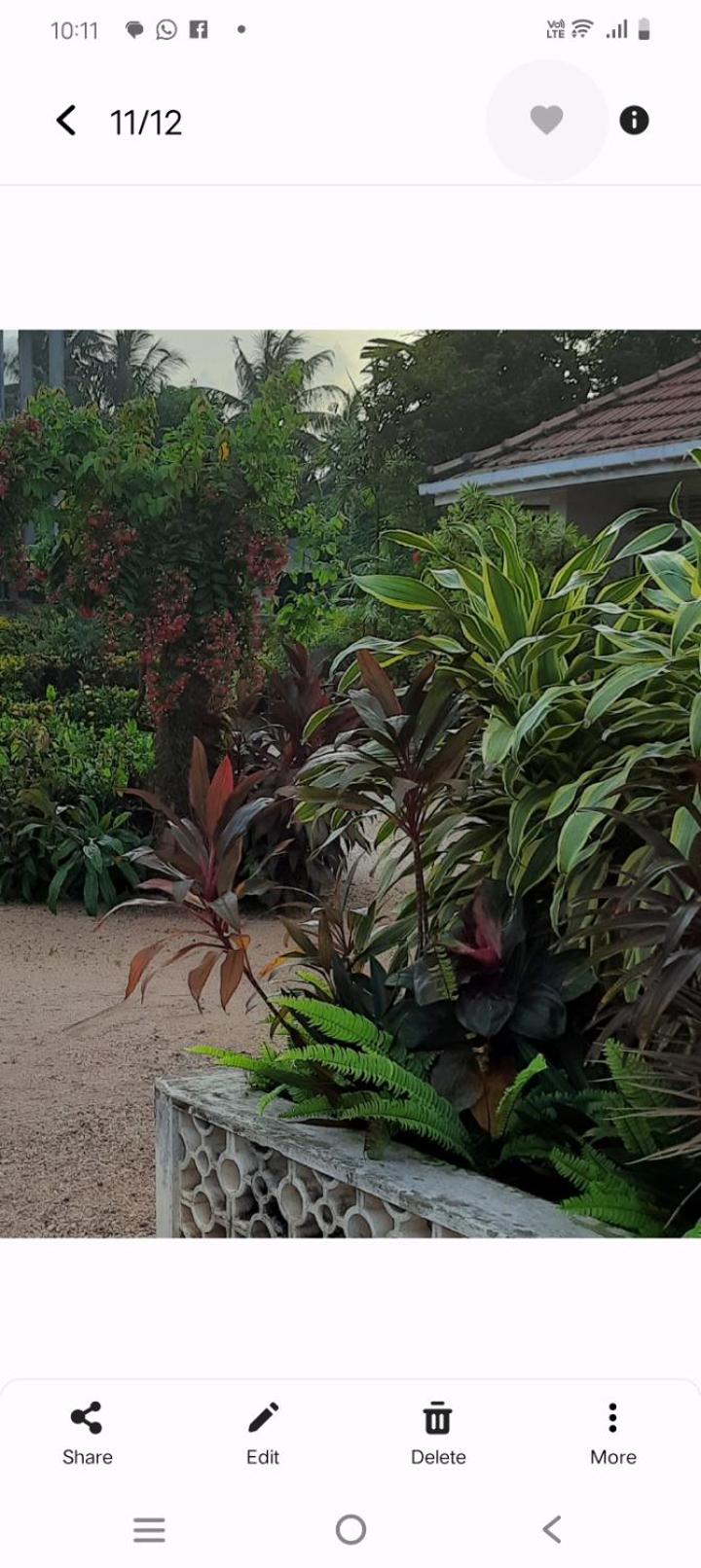 Srilal's Guest House view 3