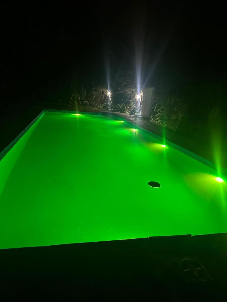 Doña Sara