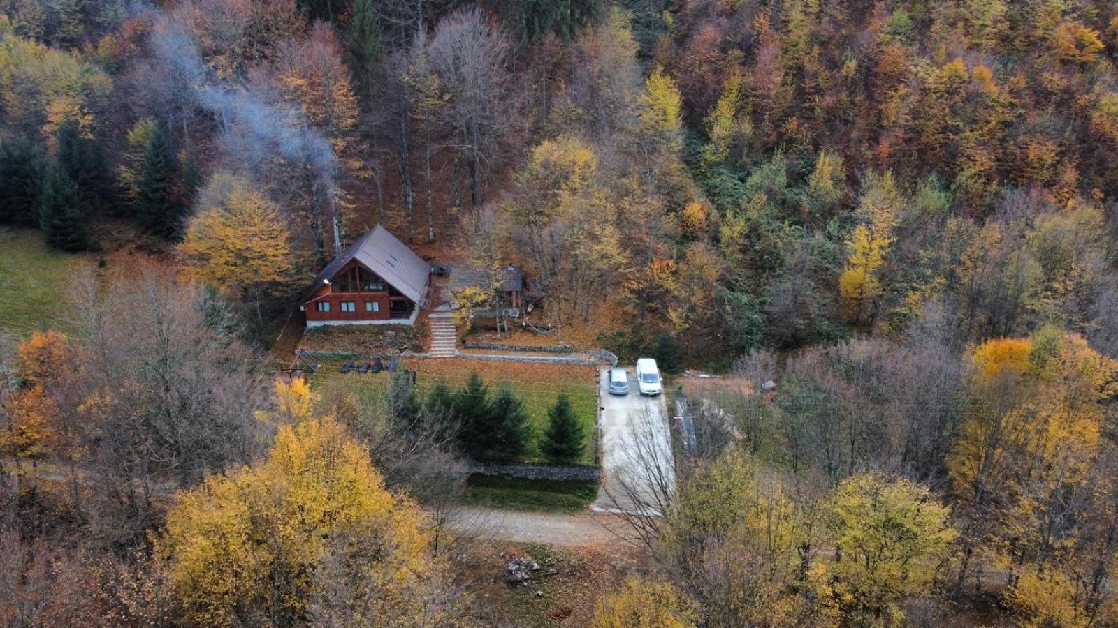 Photo 11