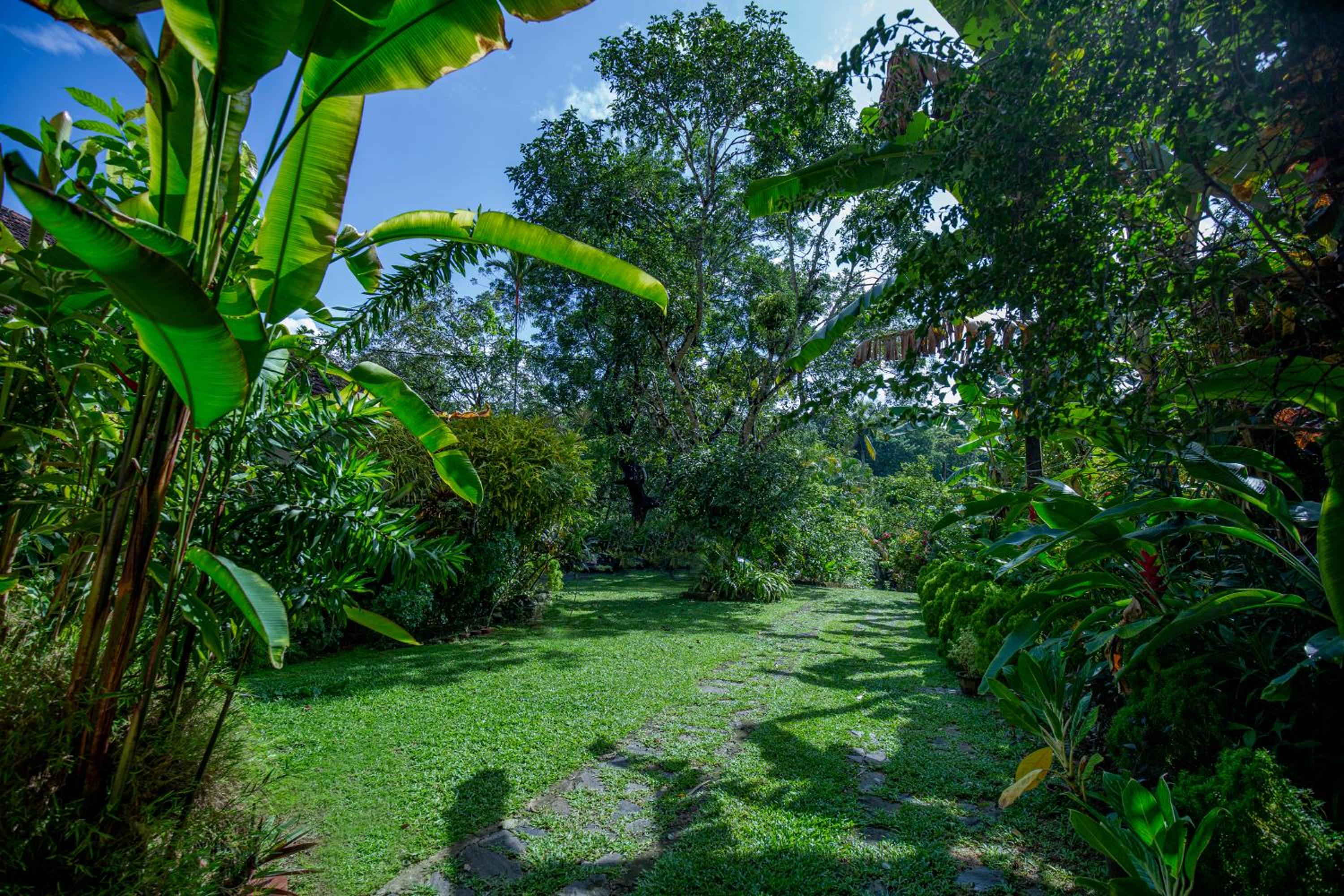 Thuru Sevana Old Dutch Villa view 3