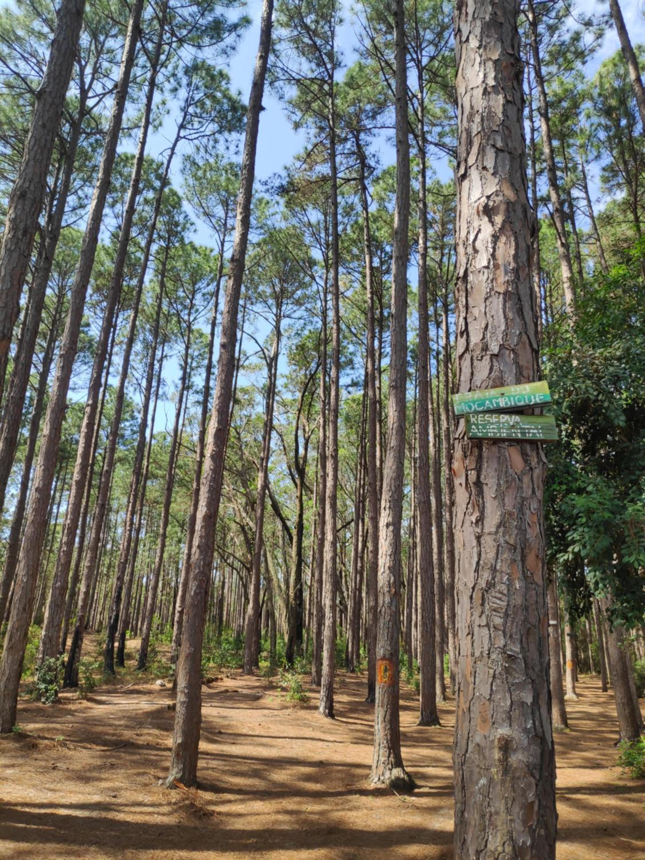 Floripa - MoçamBlue - Casa 2 quartos, 1 km da Reserva Nacional de Surf, perfeita para famílias ou casais, Wi-Fi, garagem e sossego Praia do Moçambique