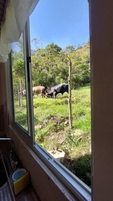 Casa cerca PN Chirripó
