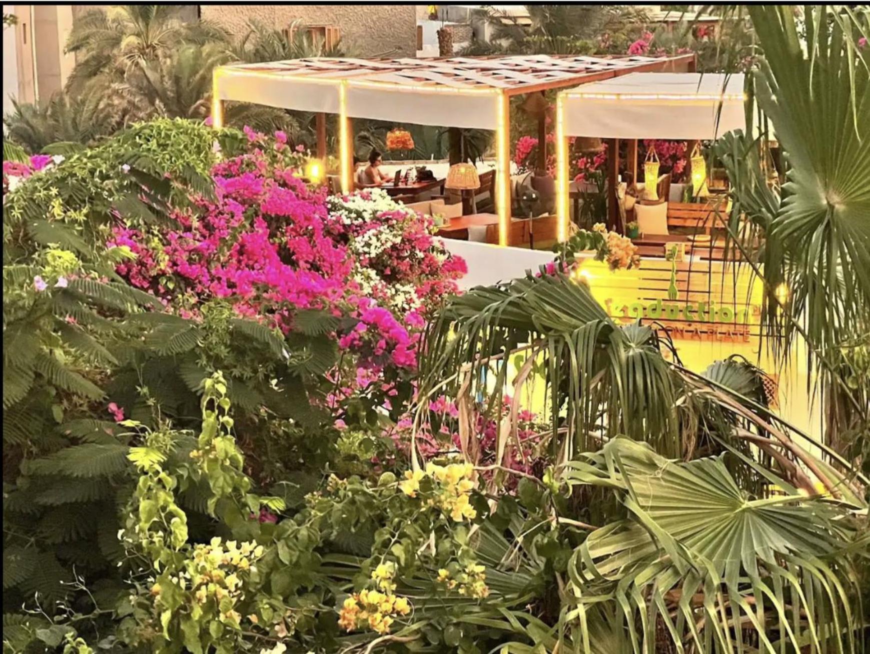Digital Nomad Hub - Wifi Available