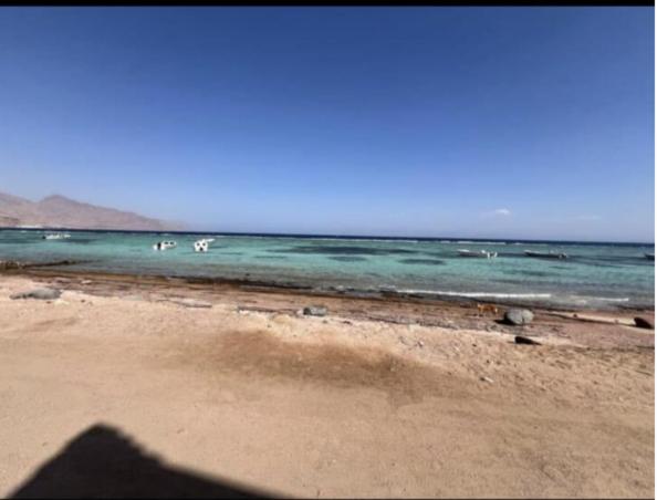 Digital Nomad Hub - Wifi Available