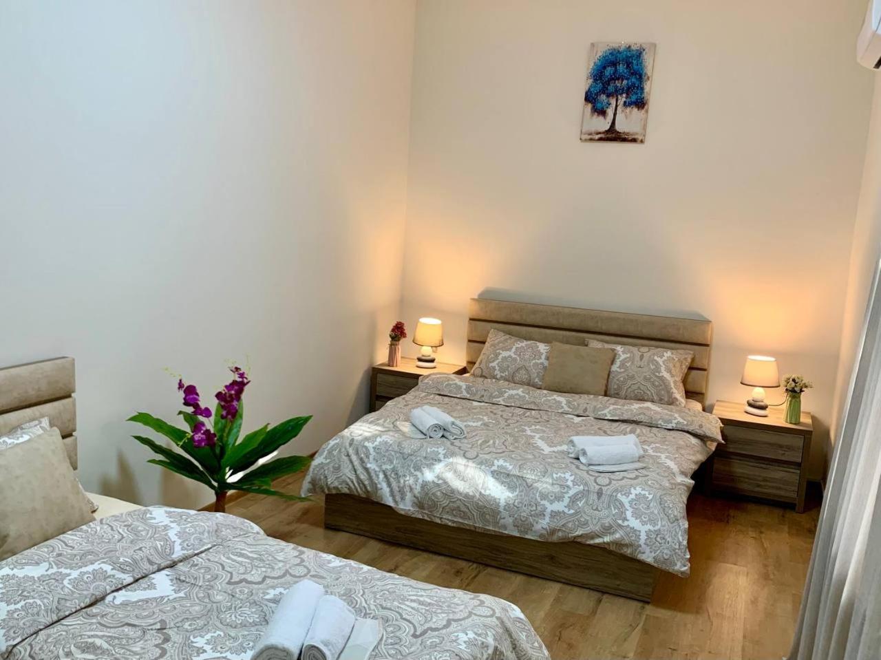 Niko Pirosmani 3-room apartment in Old Tbilisi view 5