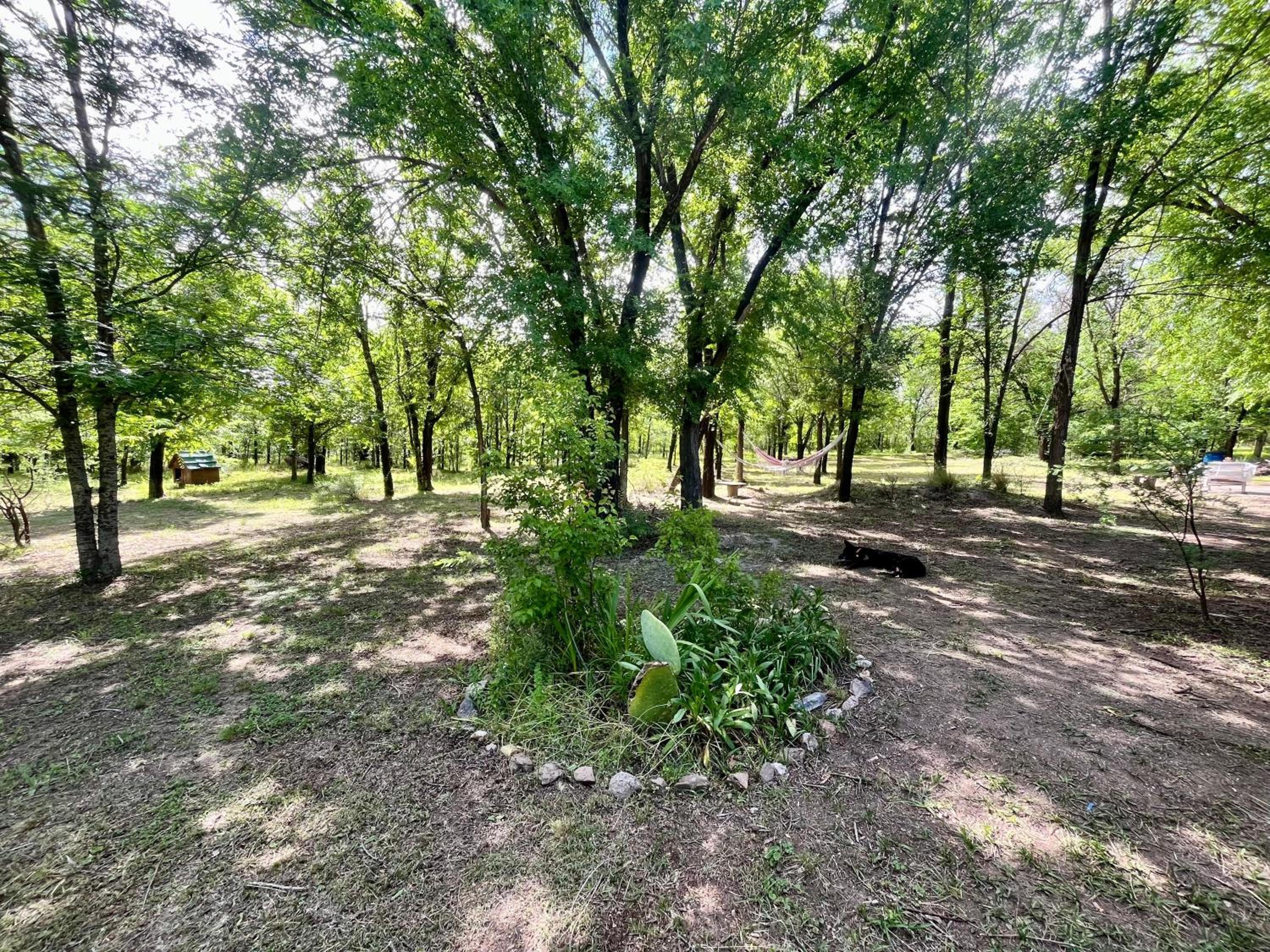 NOMADE cabin rent