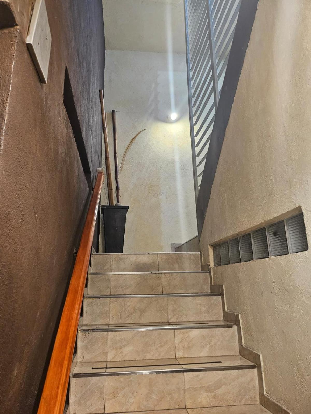 Mono en Duplex Velez Sarsfield 2