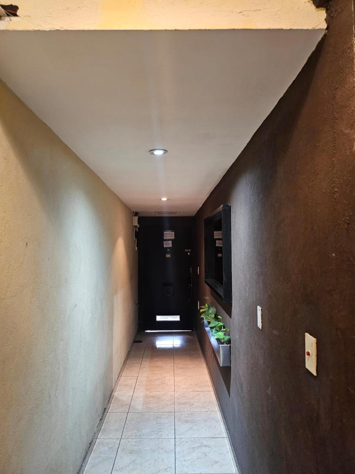Mono en Duplex Velez Sarsfield 2