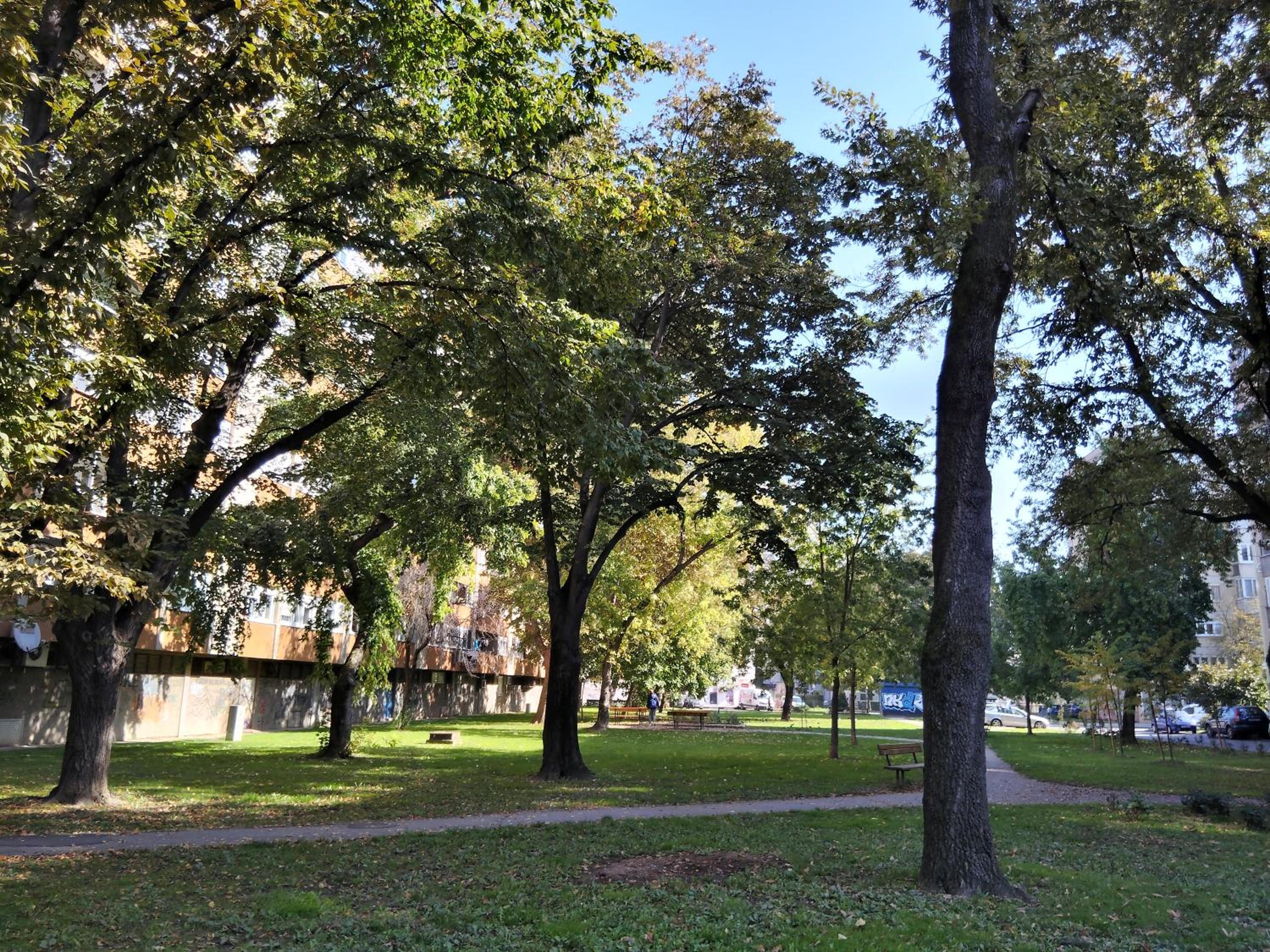 Photo 15