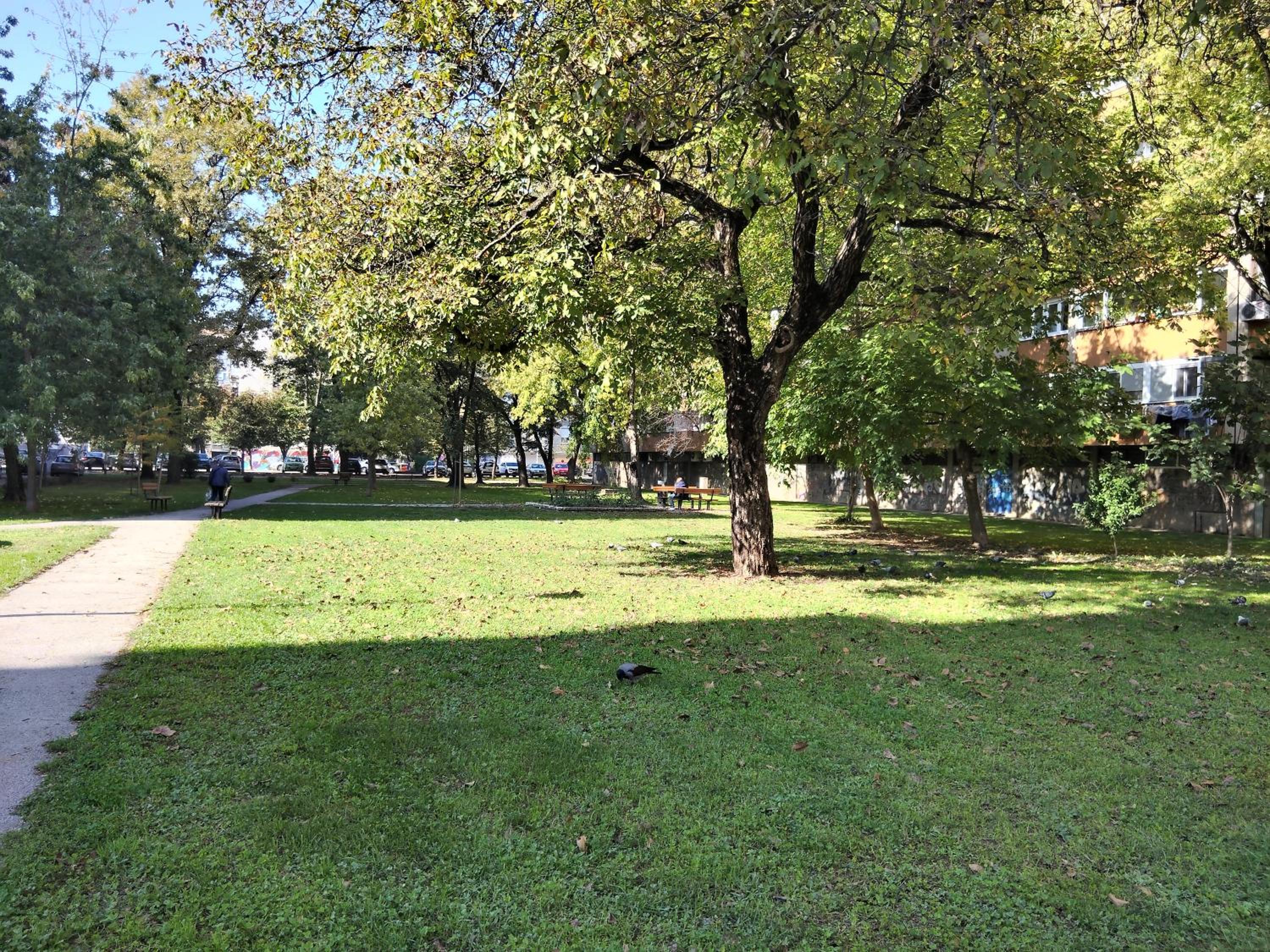 Photo 16