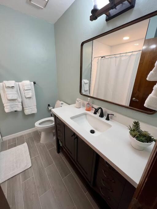 Horsey Heartland oasis 7 Mi WEC Close to all Fun view 3