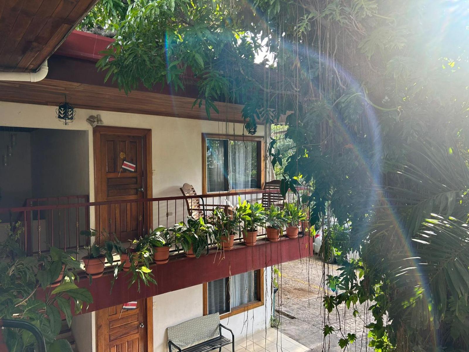 Guanacaste - Costa Rica Vacations - Hotel Javy - Property Image 20