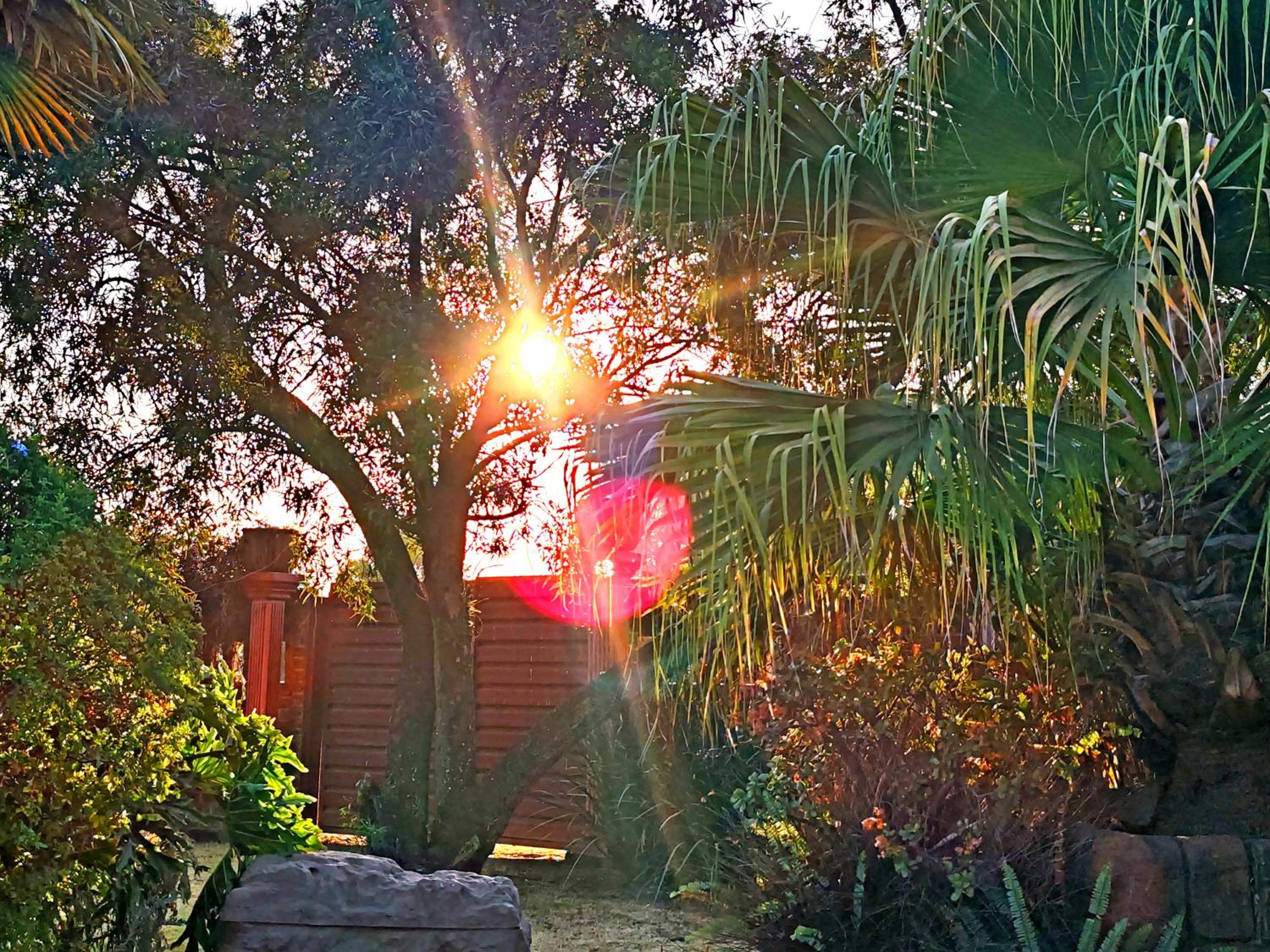 Sun and Stars