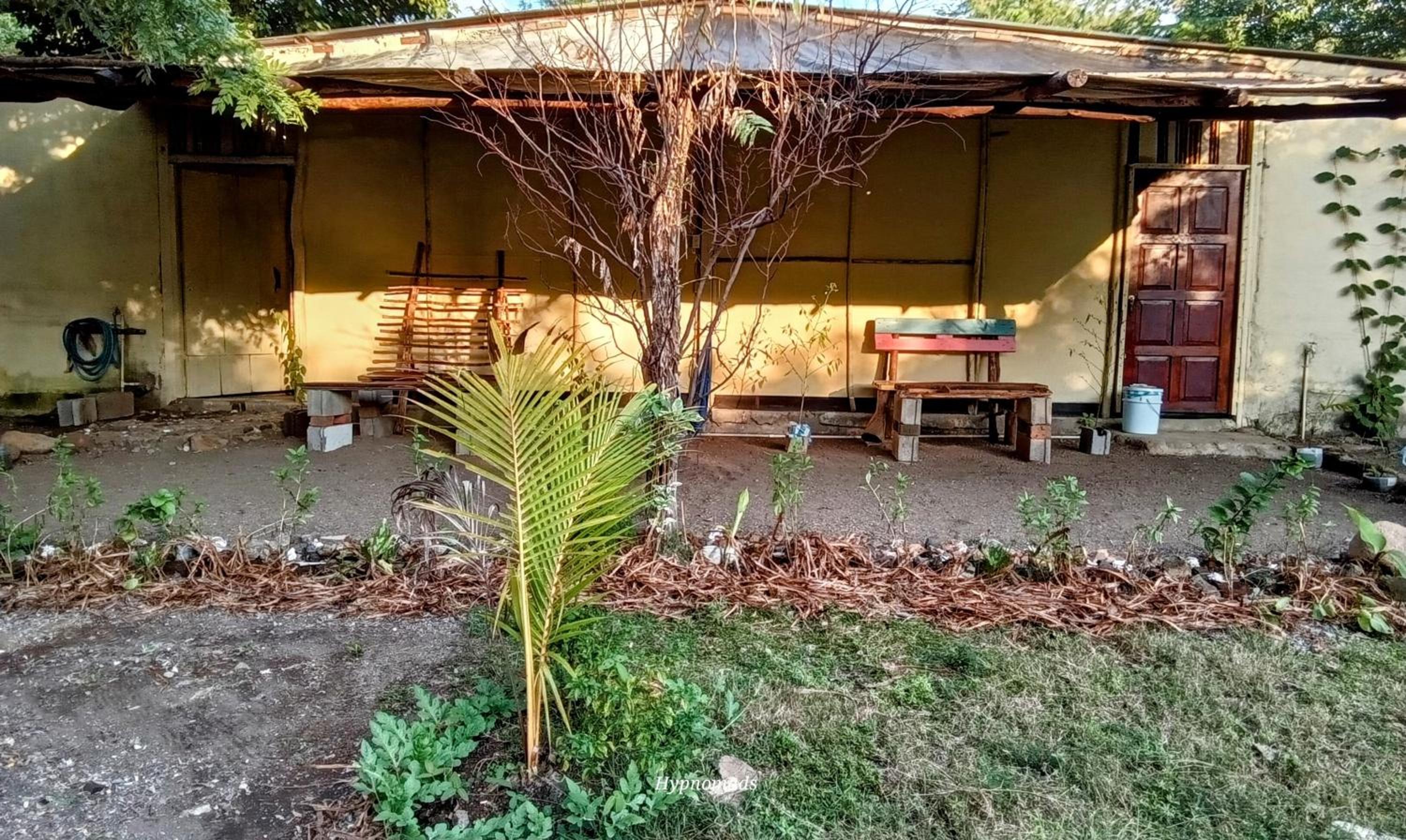 Hypnomad Hostel