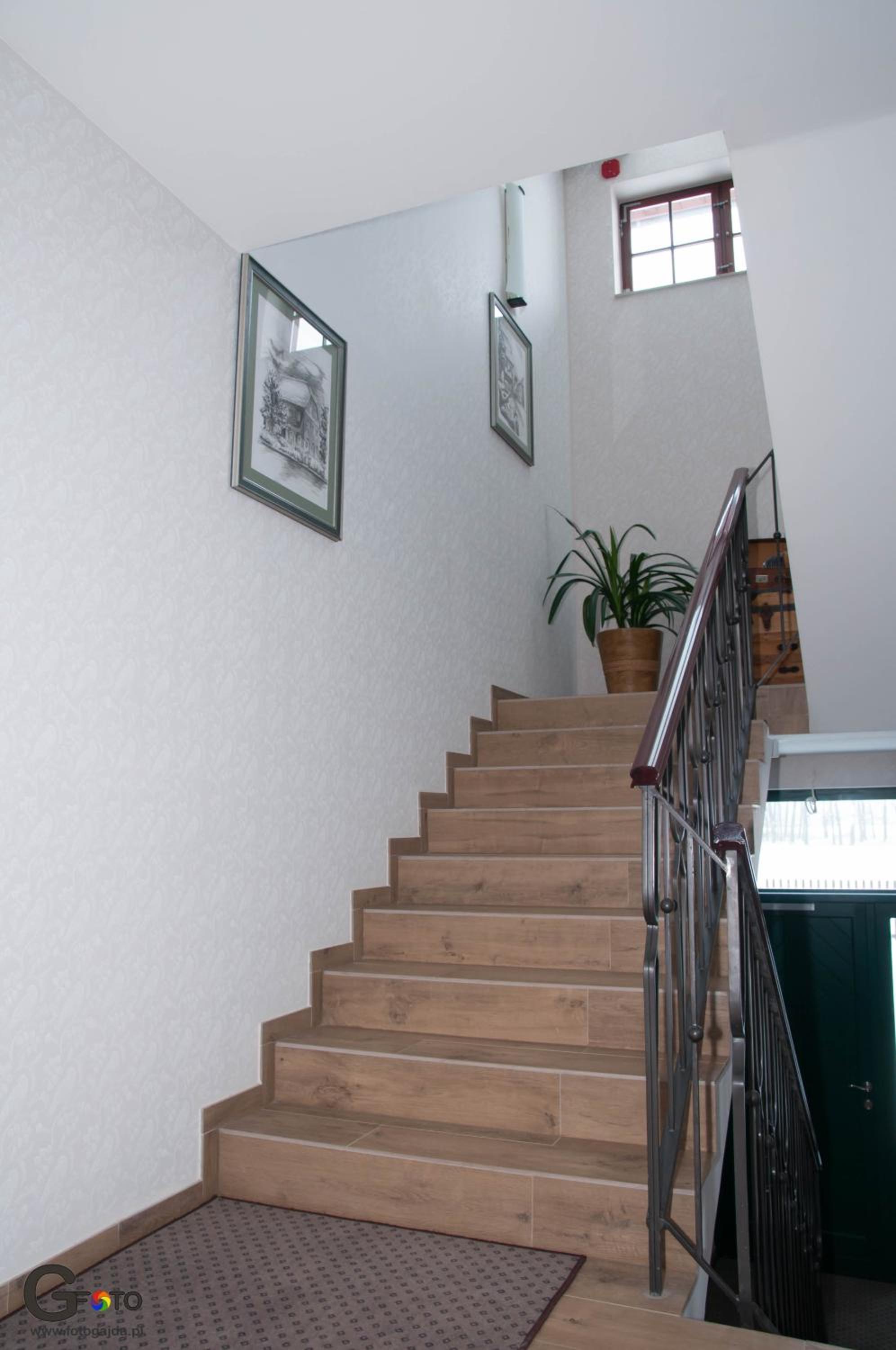 Photo 51