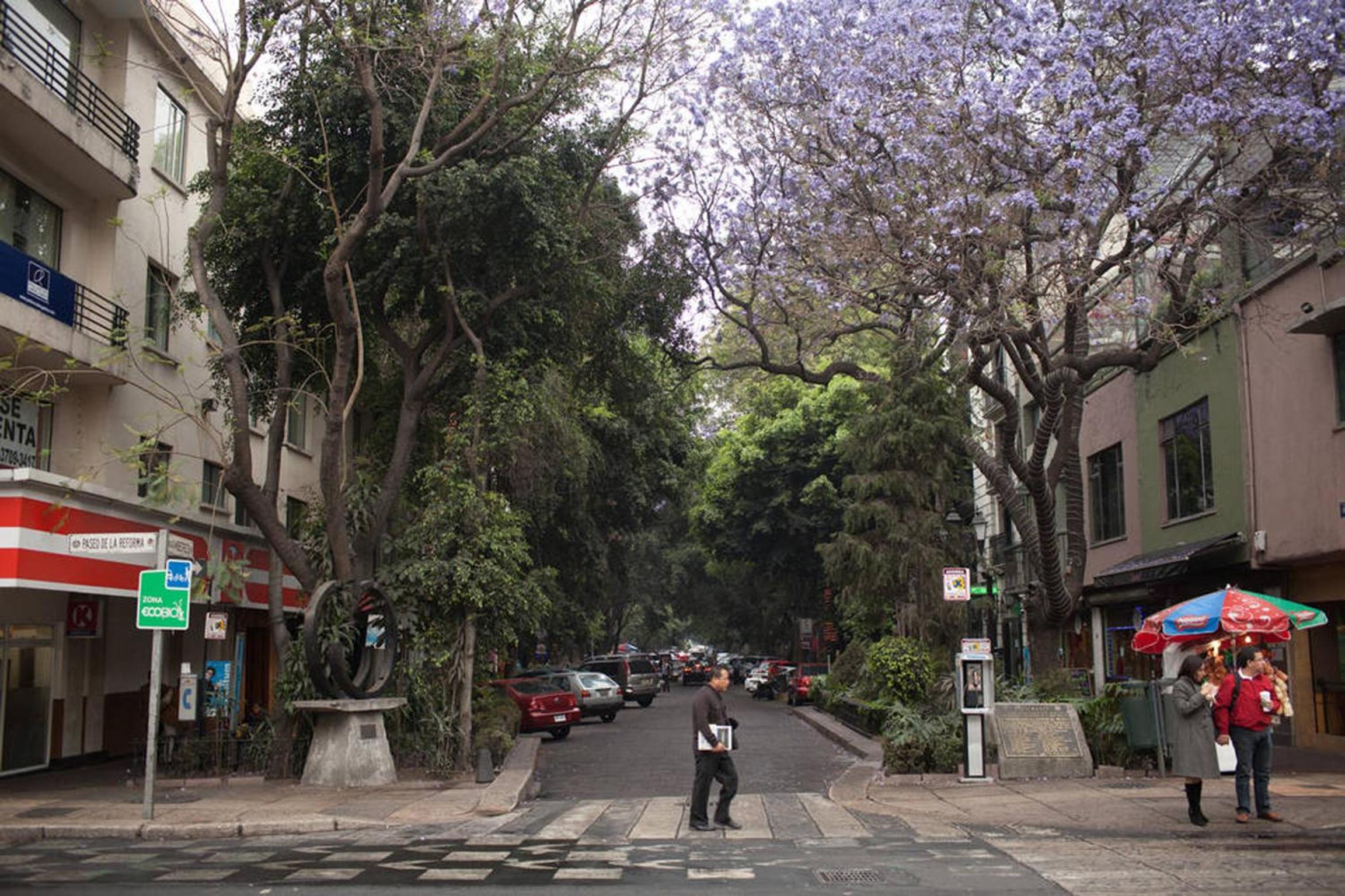 Duplex Penthouse Zona Rosa