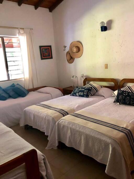 Finca La Dicha