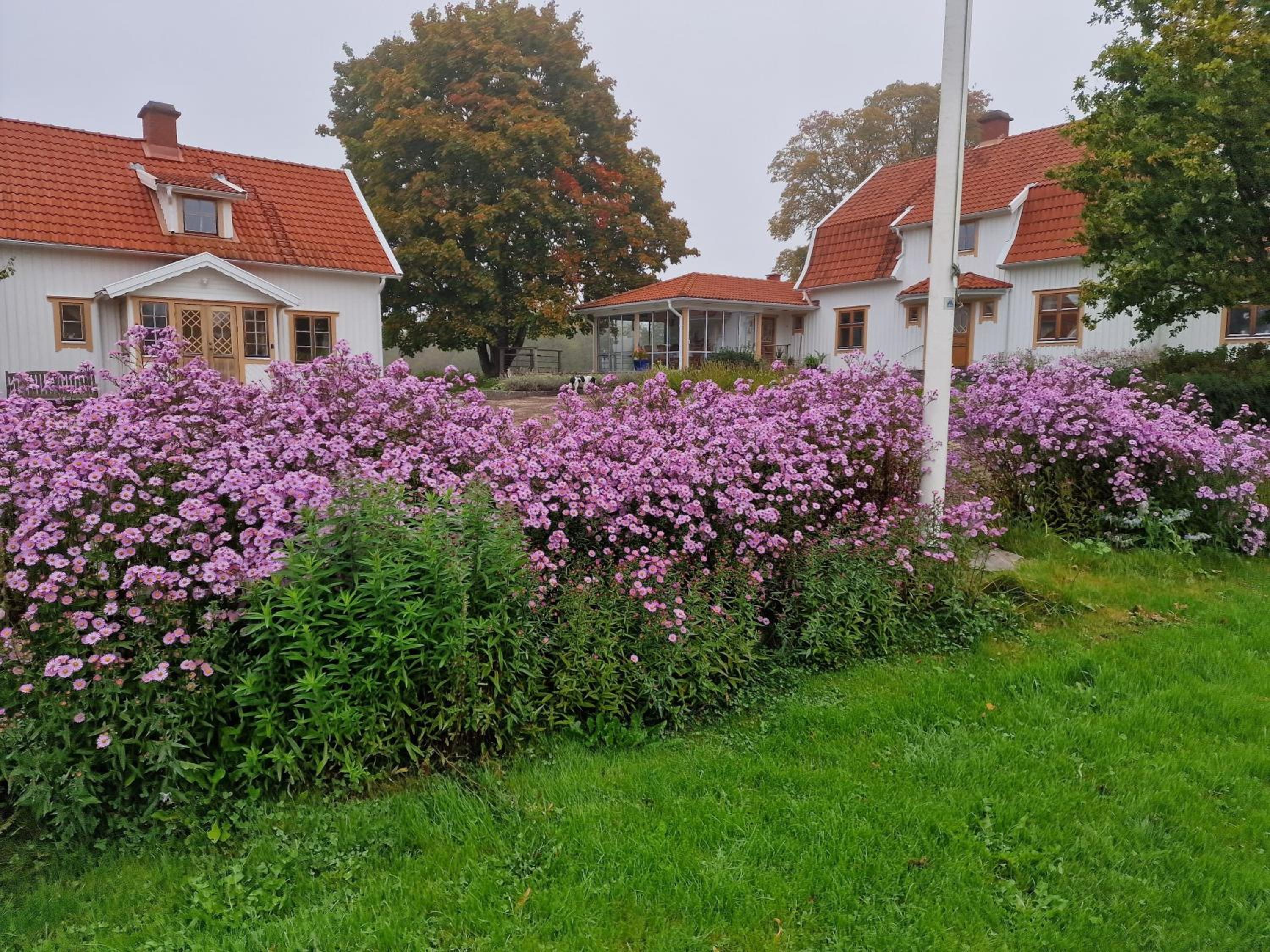Photo 30