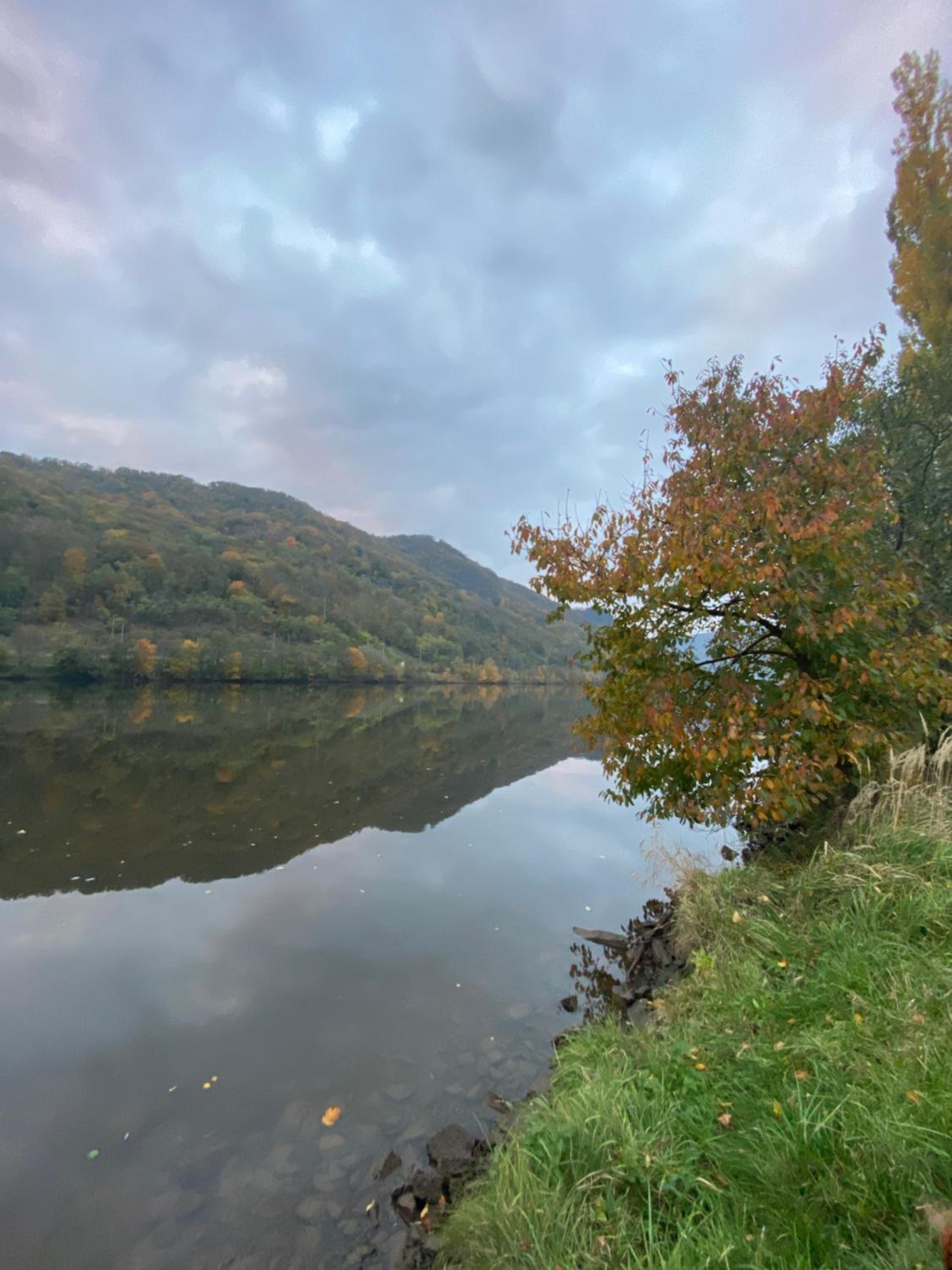 Sebuzínka