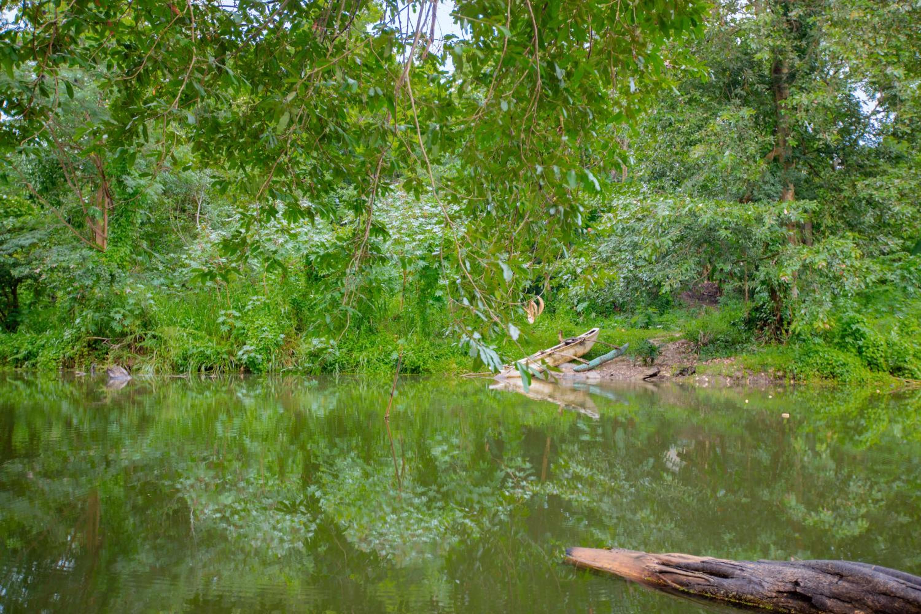 Yala River Face Inn