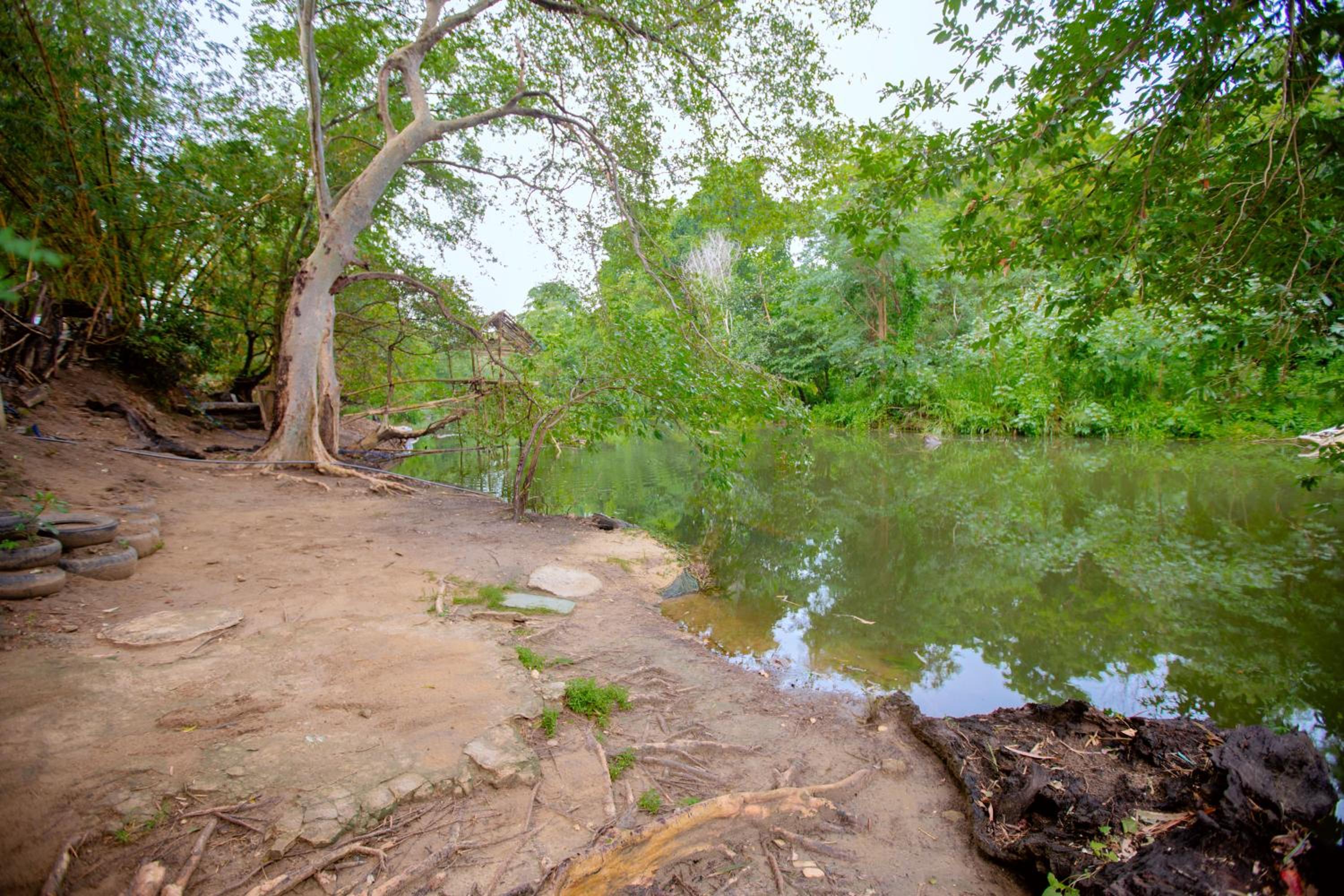 Yala River Face Inn