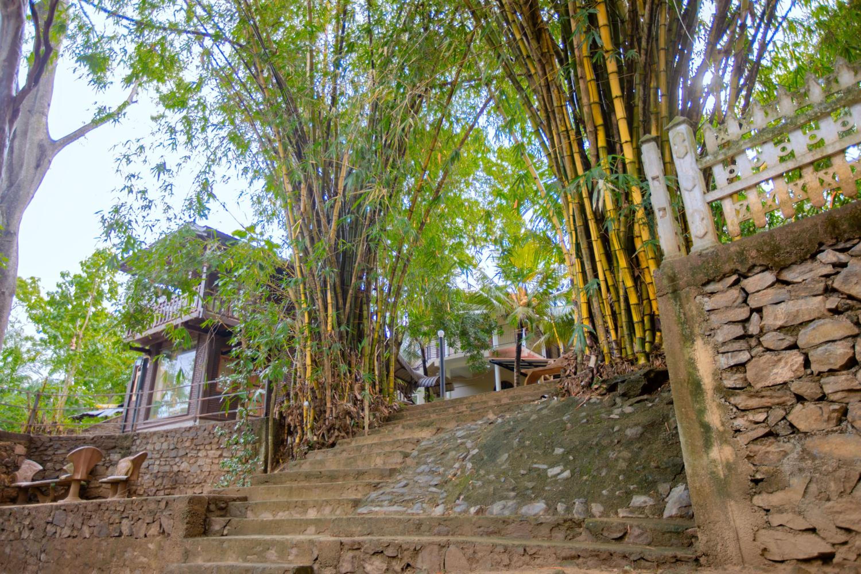 Yala River Face Inn
