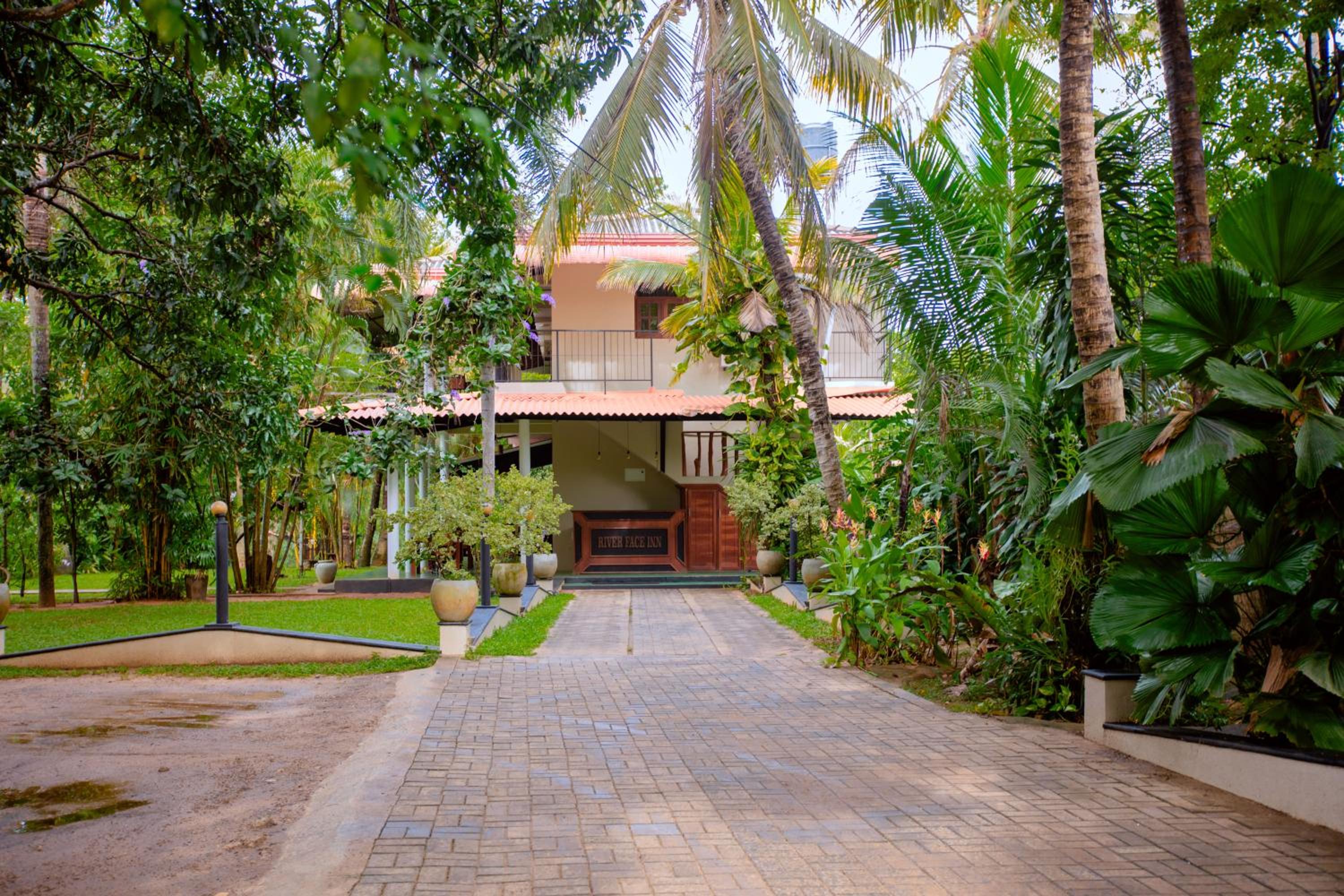Yala River Face Inn